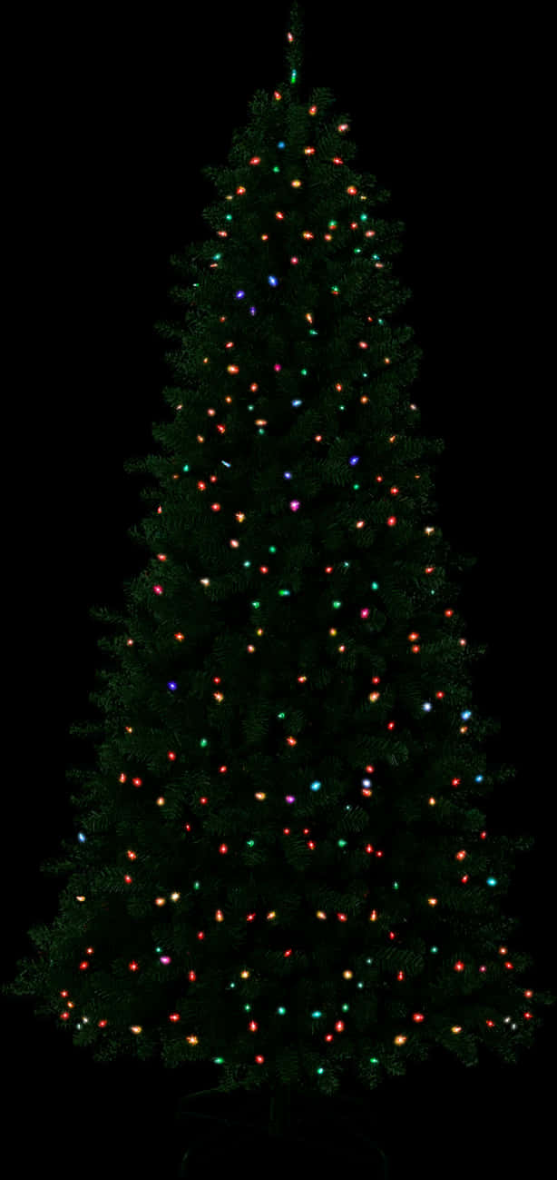Mga Ilaw ng Puno ng Pasko na Kumikislap Wallpaper