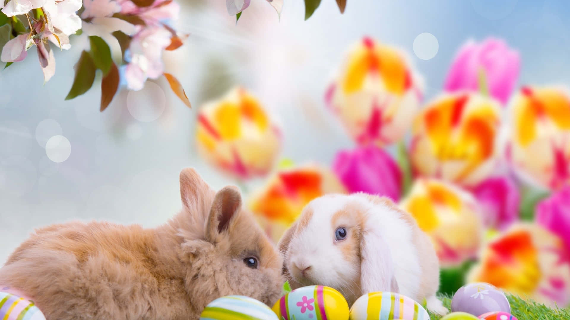 Mga Kaakit-akit na Easter Bunnies at Makukulay na Itlog sa Masiglang Background ng Tagsibol Wallpaper