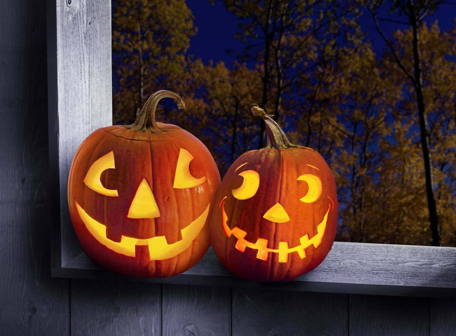 Mga Kalabasa sa Halloween na Nagkatinginan Wallpaper