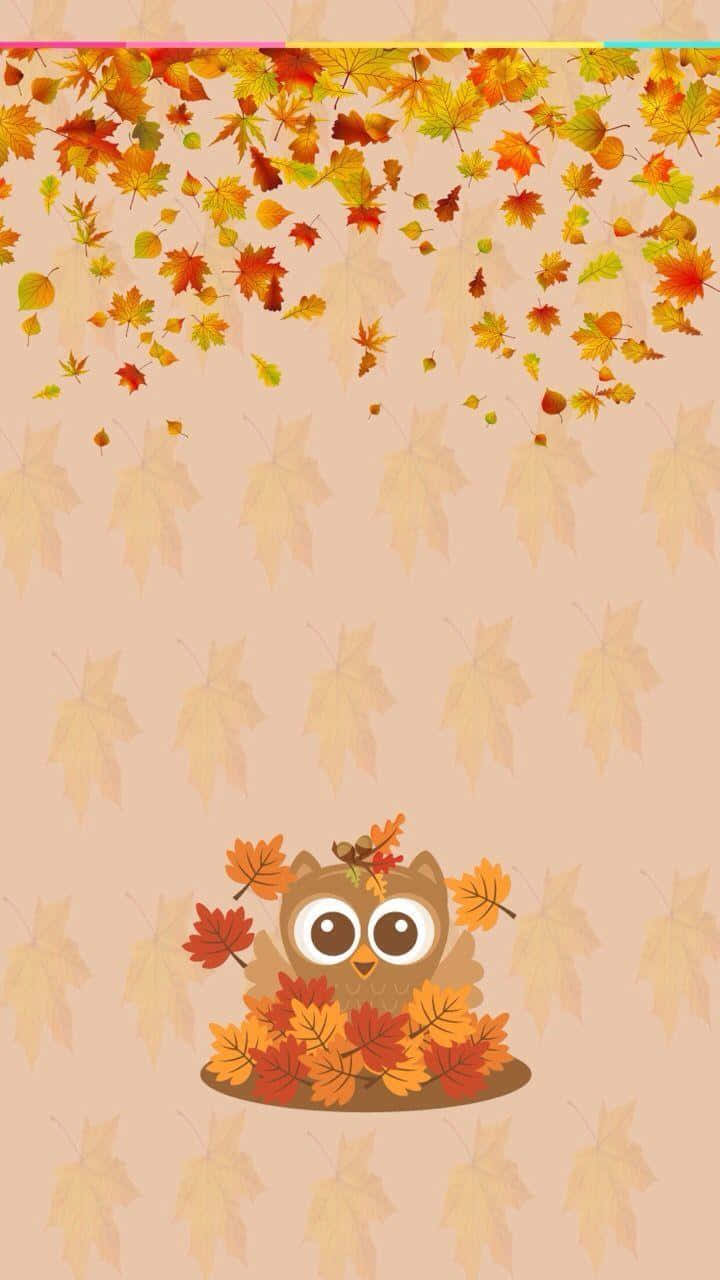 mga kuwago sa dahon ng taglagas wallpaper