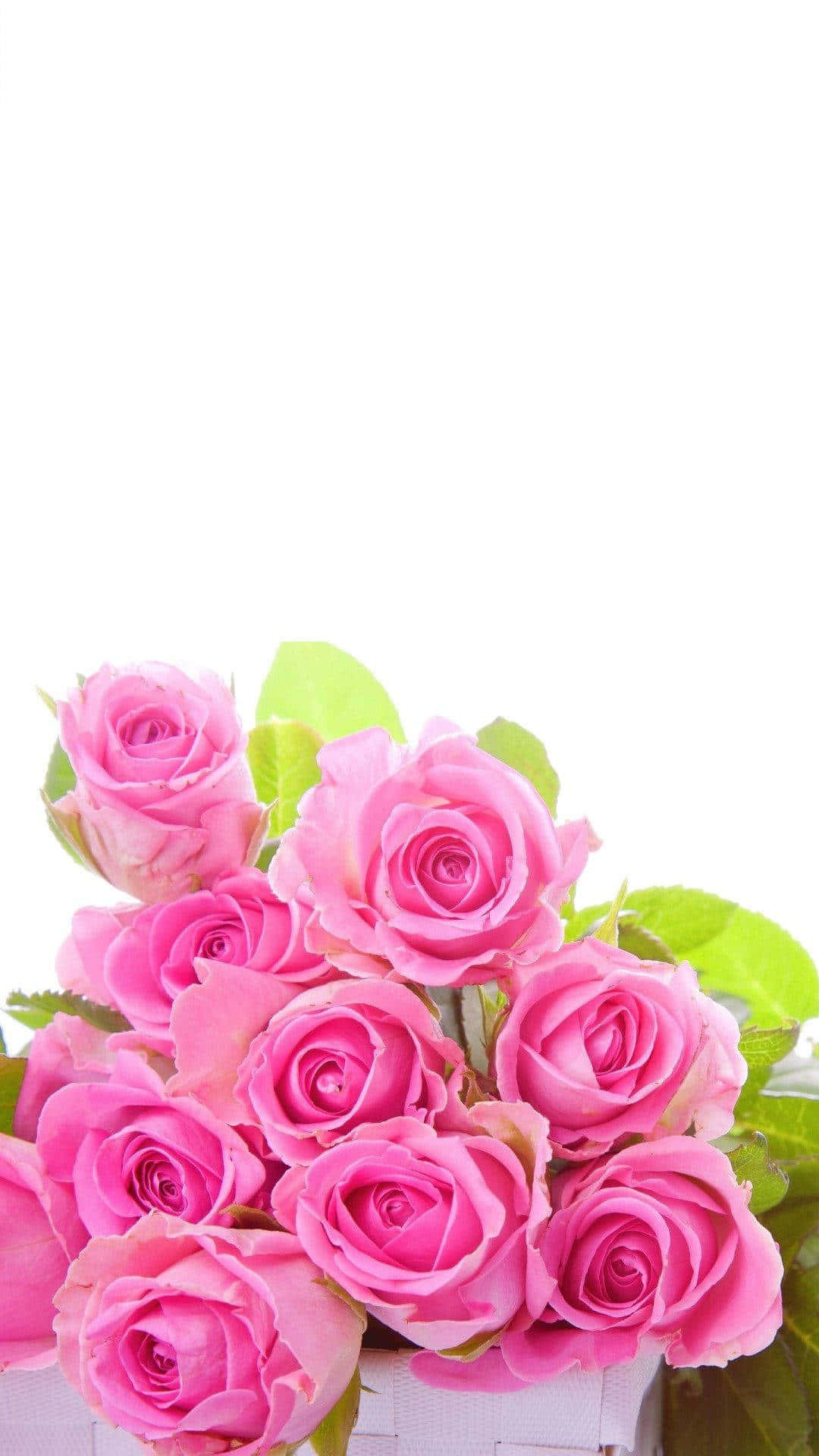 Mga Larawan ng Bouquet ng Rosas para sa iPhone Wallpaper