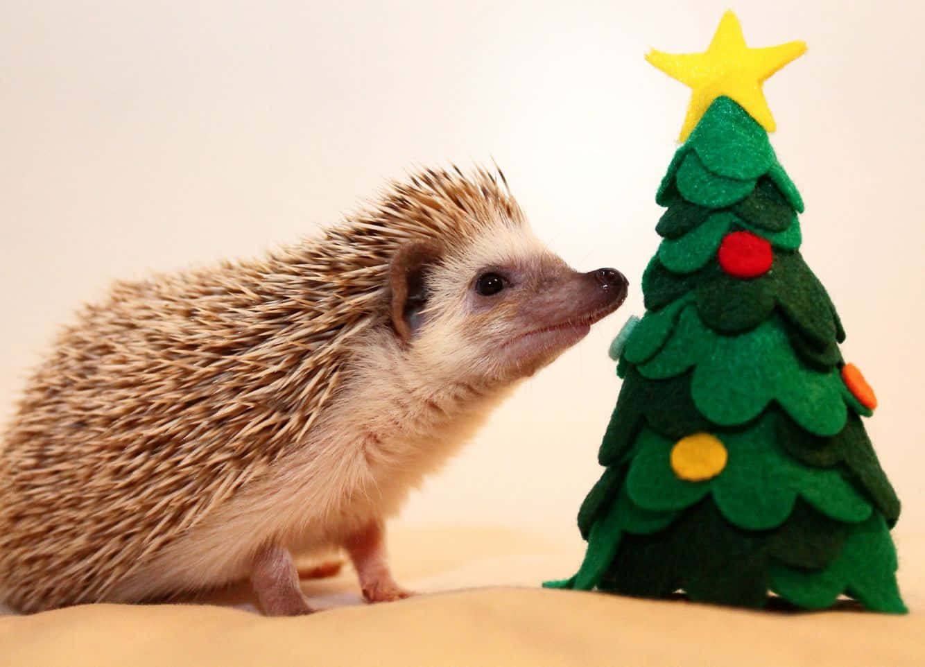 Mga larawan ng Pasko na cute Wallpaper