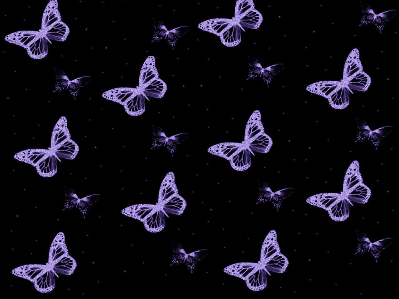 mga lilang paru-paro sa itim na background Wallpaper