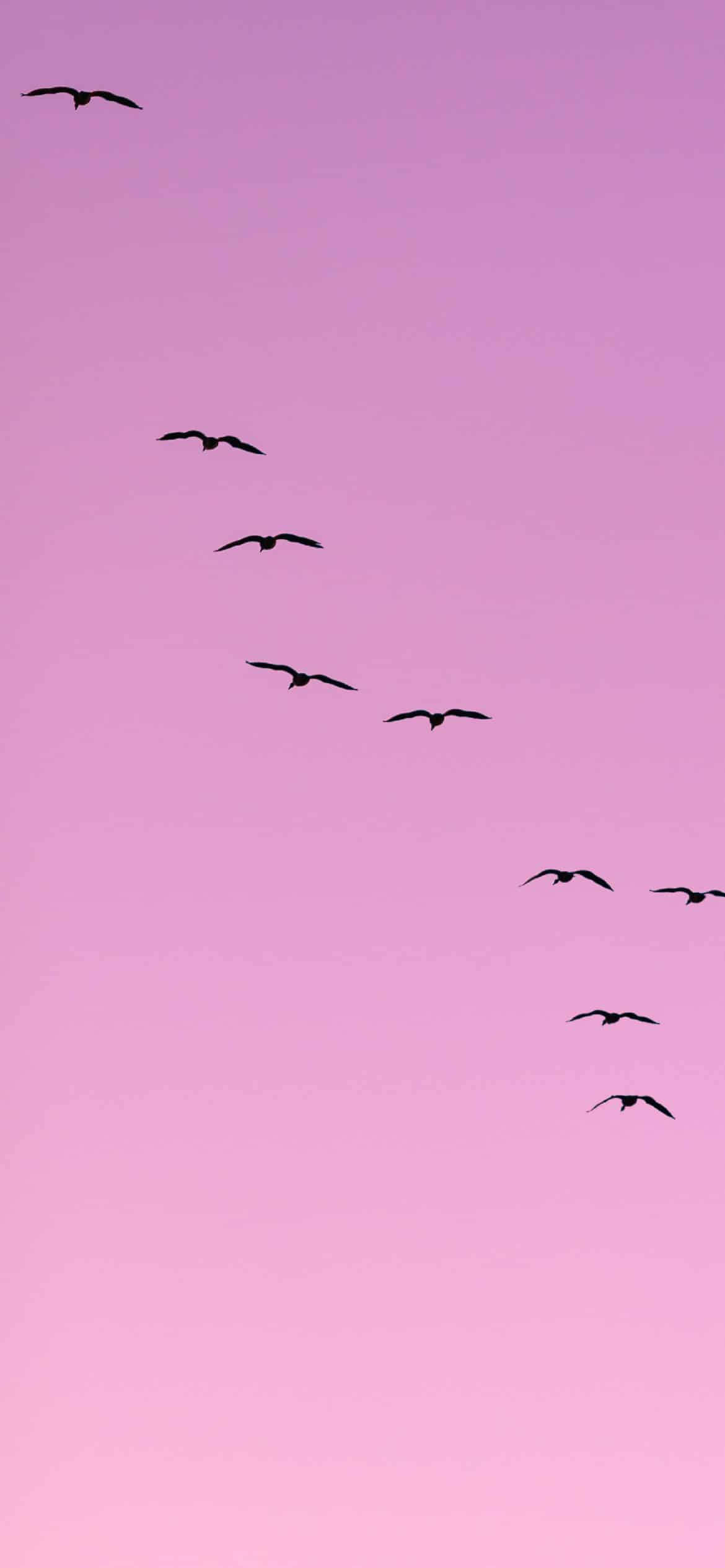 Mga Lumilipad na Ibon sa Light Purple na Aesthetic Wallpaper