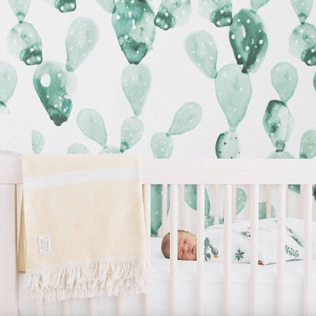 Mga Pastel na Berdeng Cactus sa Nursery Wallpaper