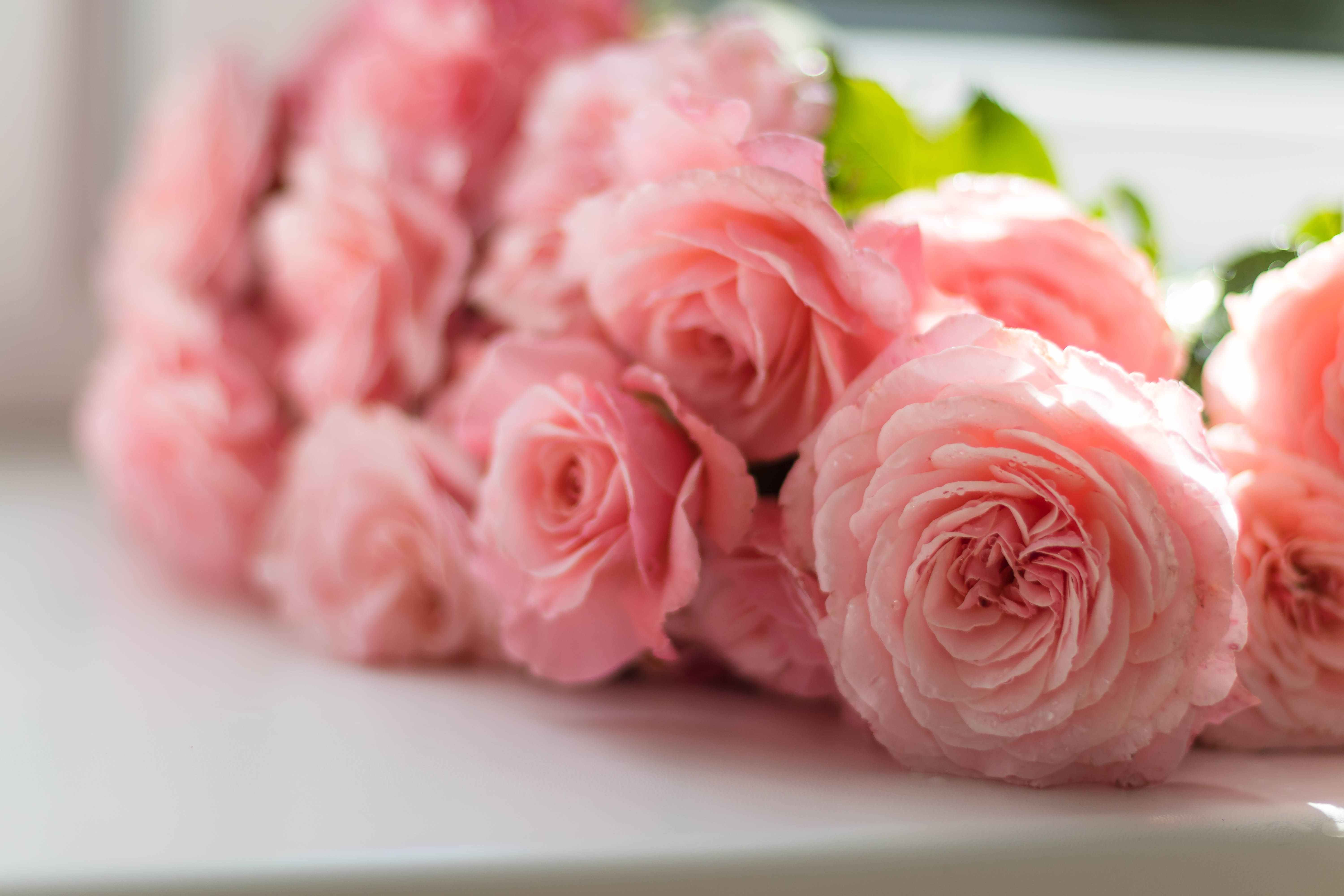 Mga Pink na Bulaklak na Rosas sa Mesa Wallpaper