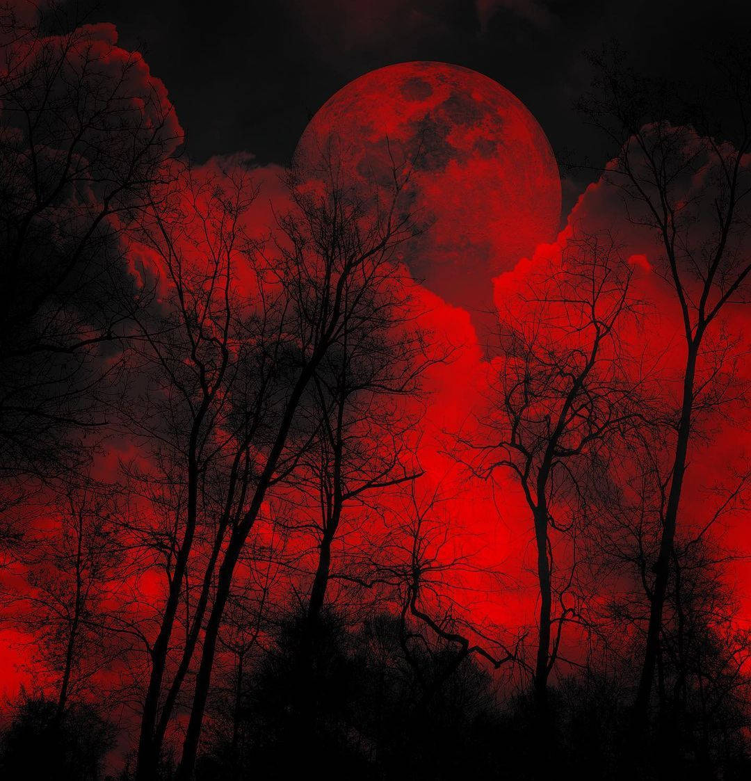 Mga Puno na Nakakatakot na may Pulang Langit Wallpaper
