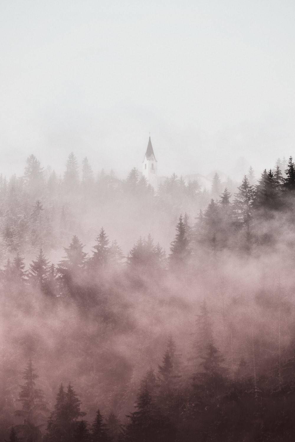 Mga Punong Pine na may Malambot na Ulap para sa iPhone Wallpaper