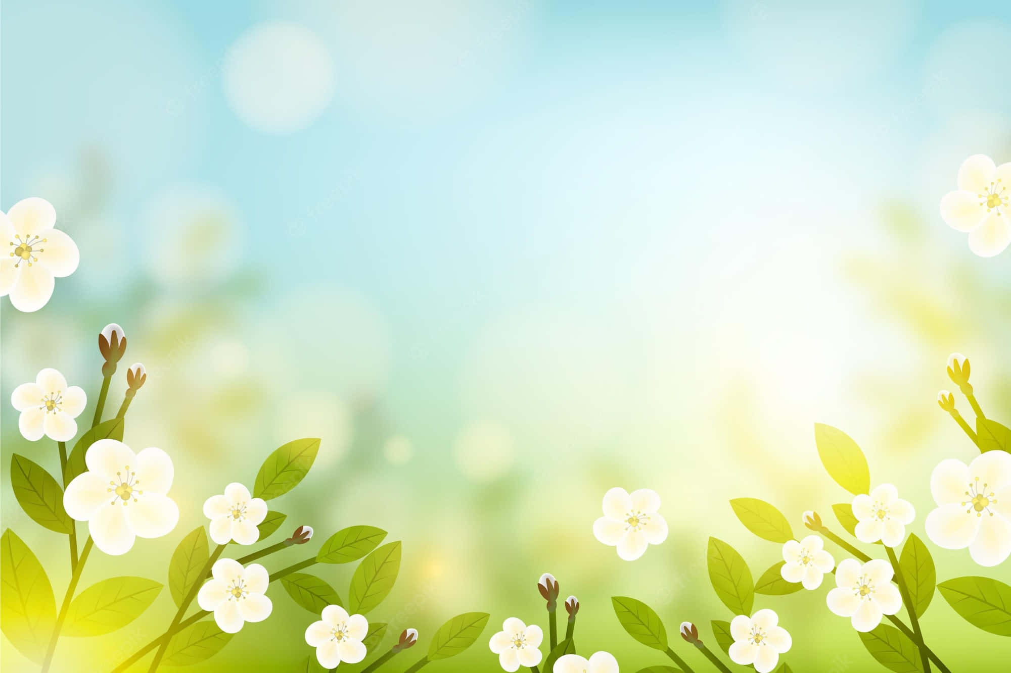 mga puting bulaklak sa luntiang background Wallpaper