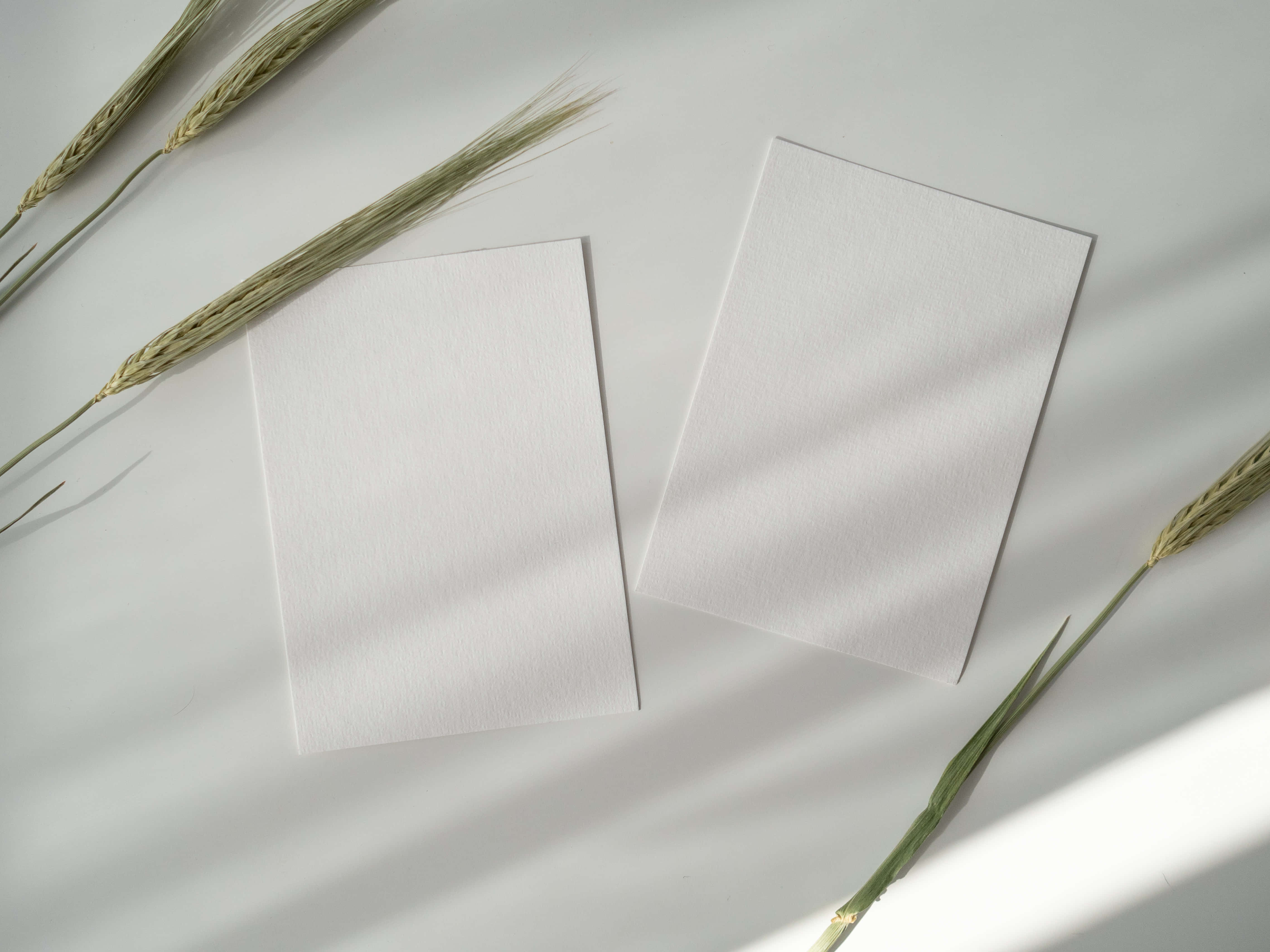 Mga Puting Papel na Naka-print sa Ilalim ng Anino na Background Wallpaper