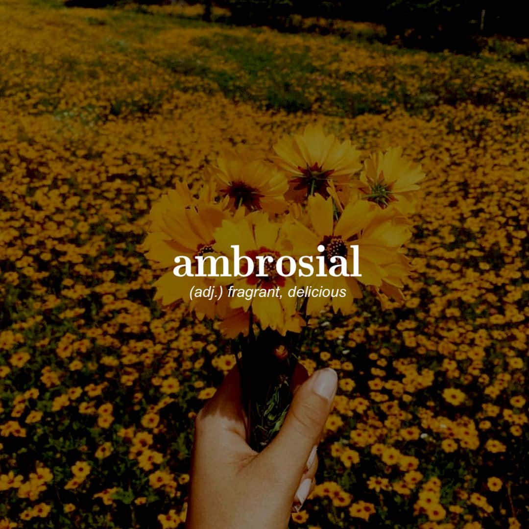 Mga Salitang Aesthetic - I-unlock ang Iyong Potensyal na Aesthetic Wallpaper