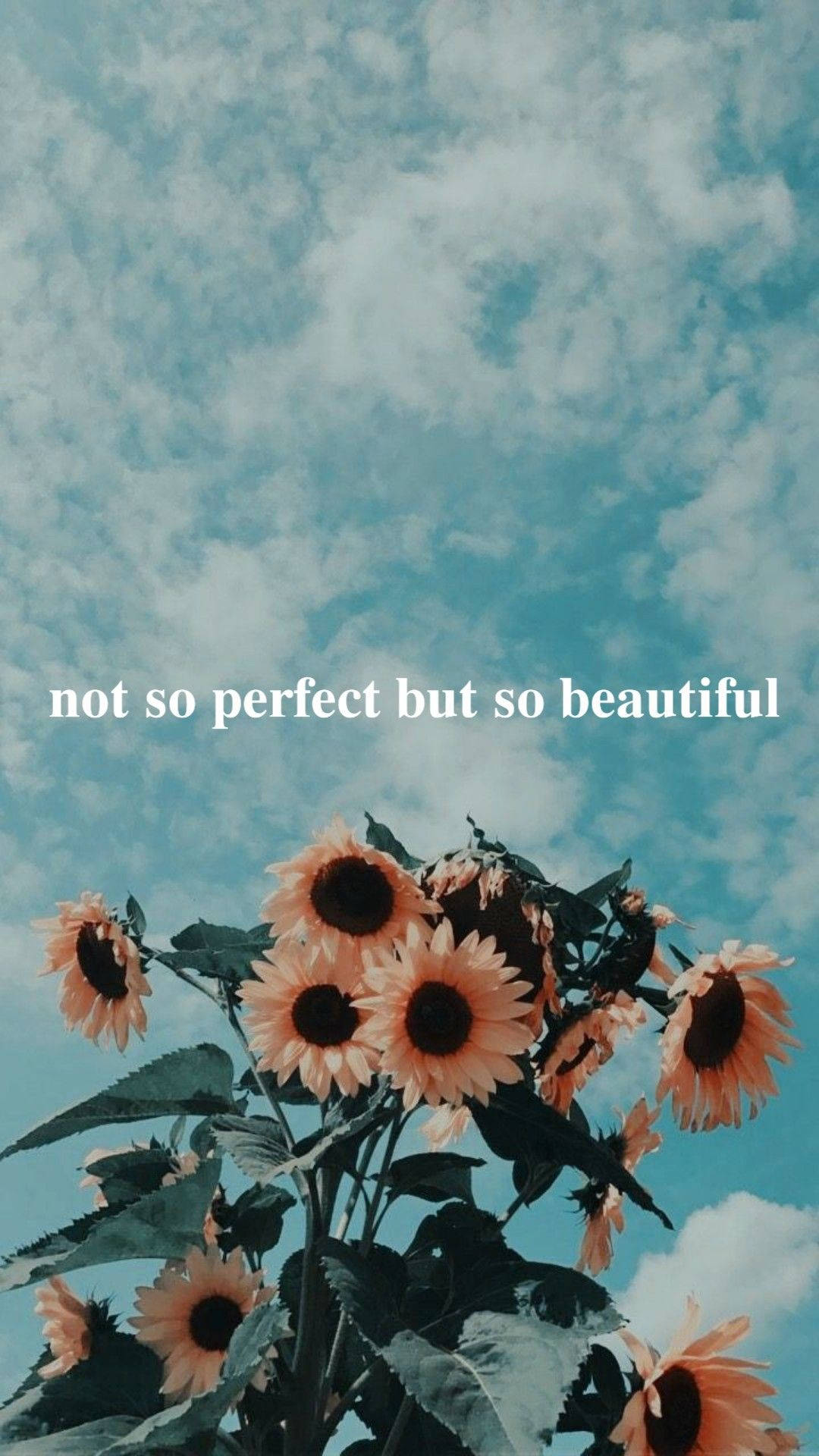 Mga Salitang Aesthetic ng Sunflower Wallpaper