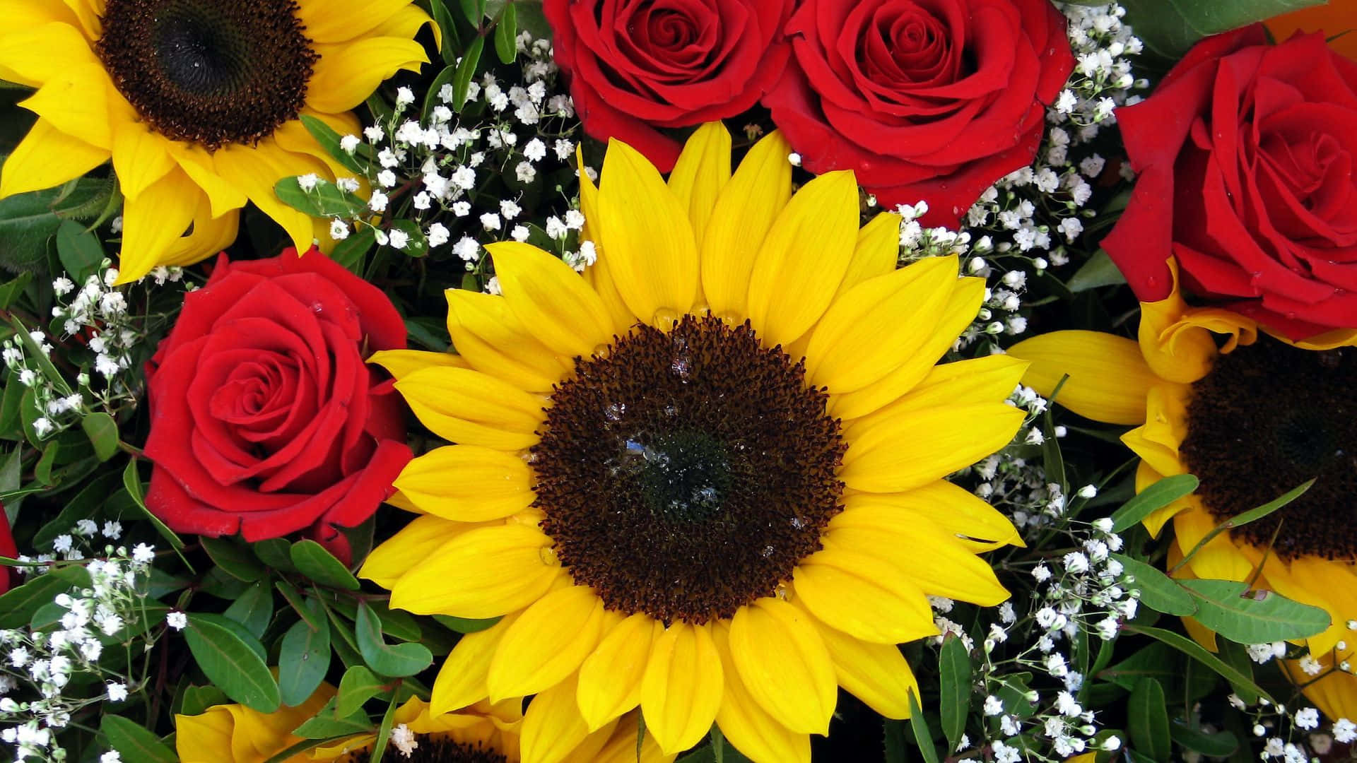 Mga Sariwang Sunflower at Rosas Mula sa Hardin Wallpaper