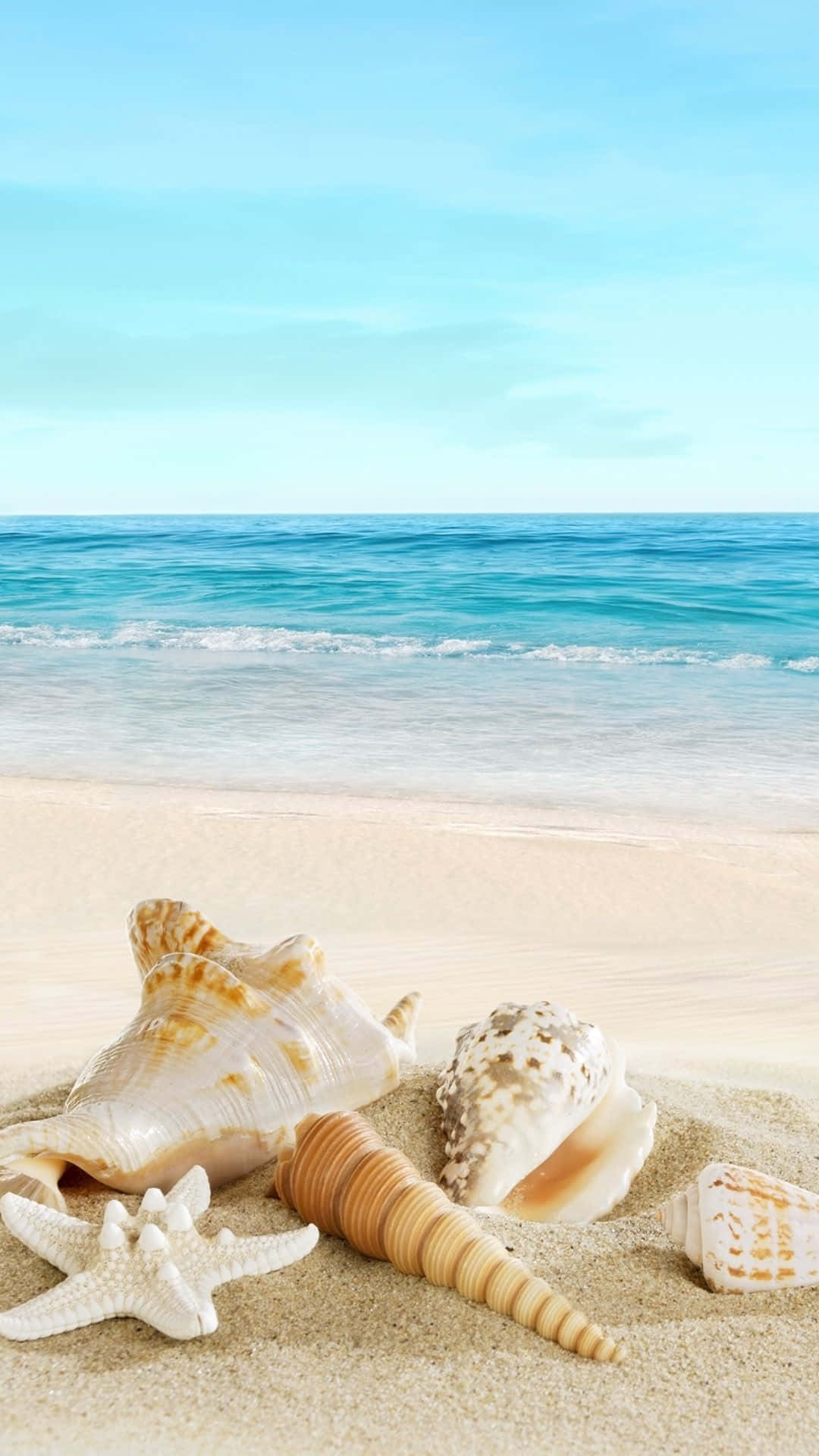 Mga Seashell sa Dalampasigan para sa Telepono Wallpaper