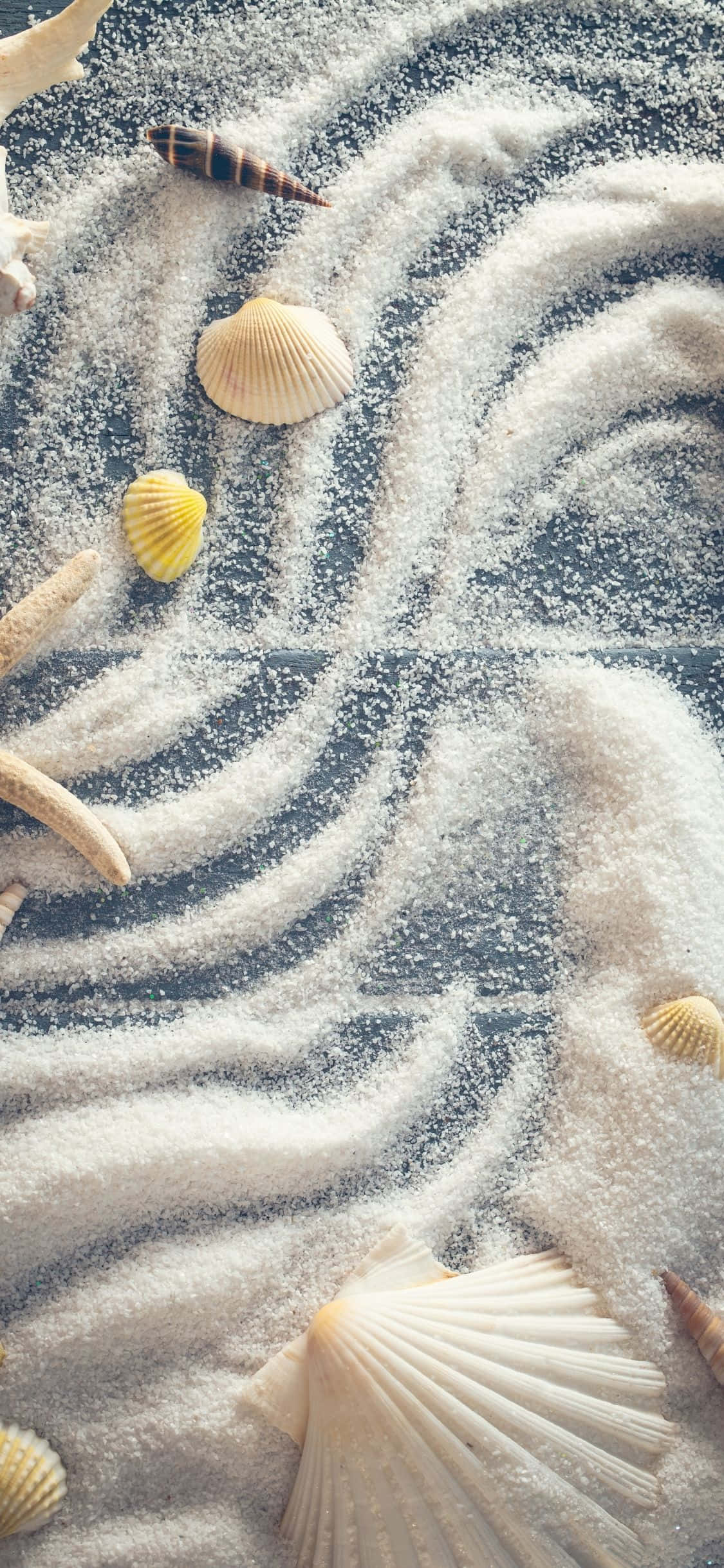 Mga Seashells Na May Puting Pulbos iPhone X Summer Background Wallpaper