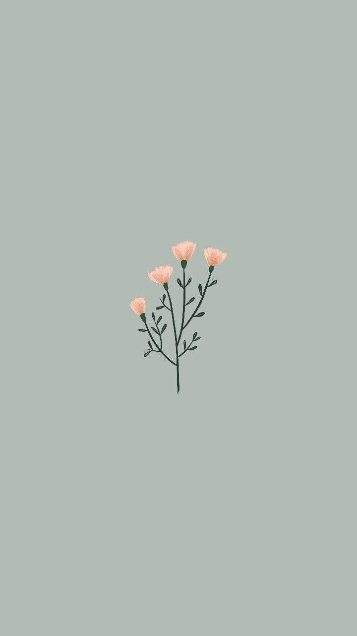 Mga Simpleng Bulaklak na Kulay Rosas Wallpaper