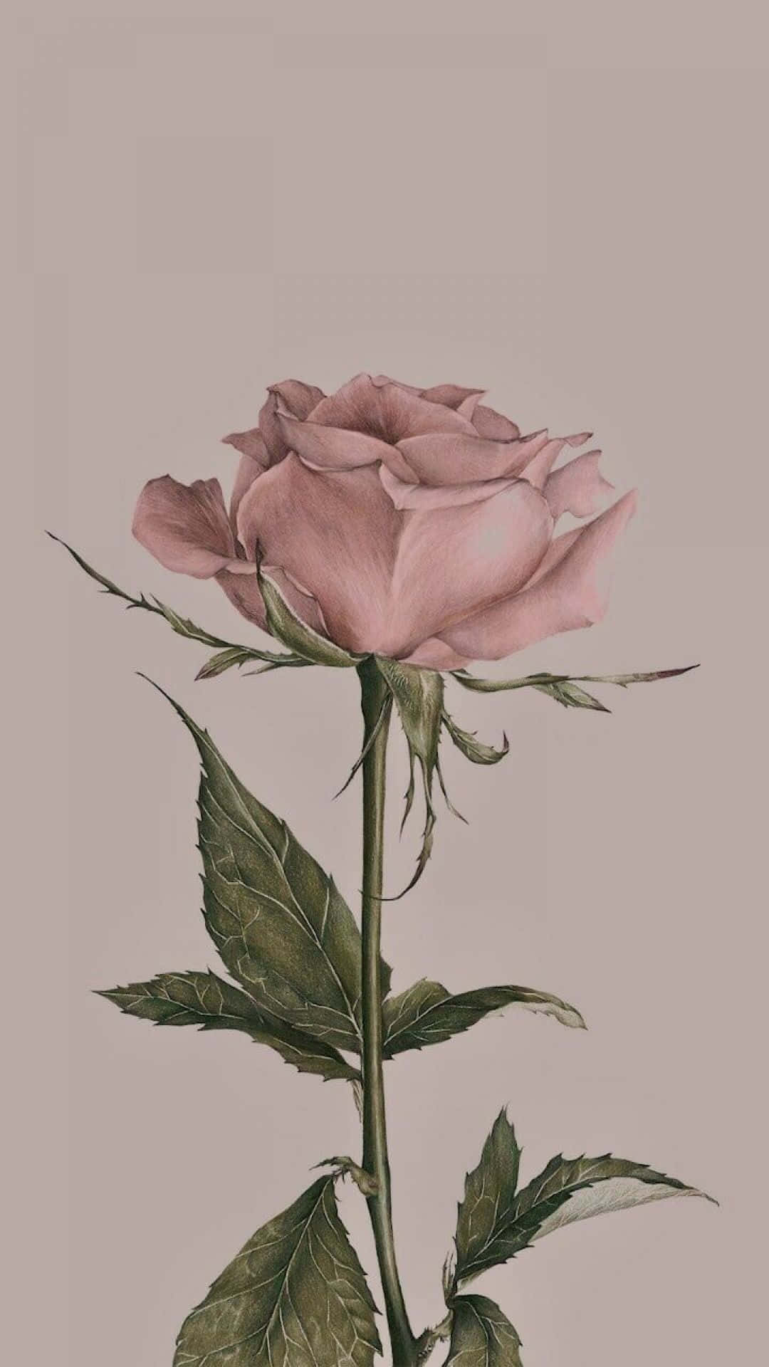 Mga Tono ng Taupe at Ginto para sa Eleganteng Aesthetic na iPad Background Wallpaper