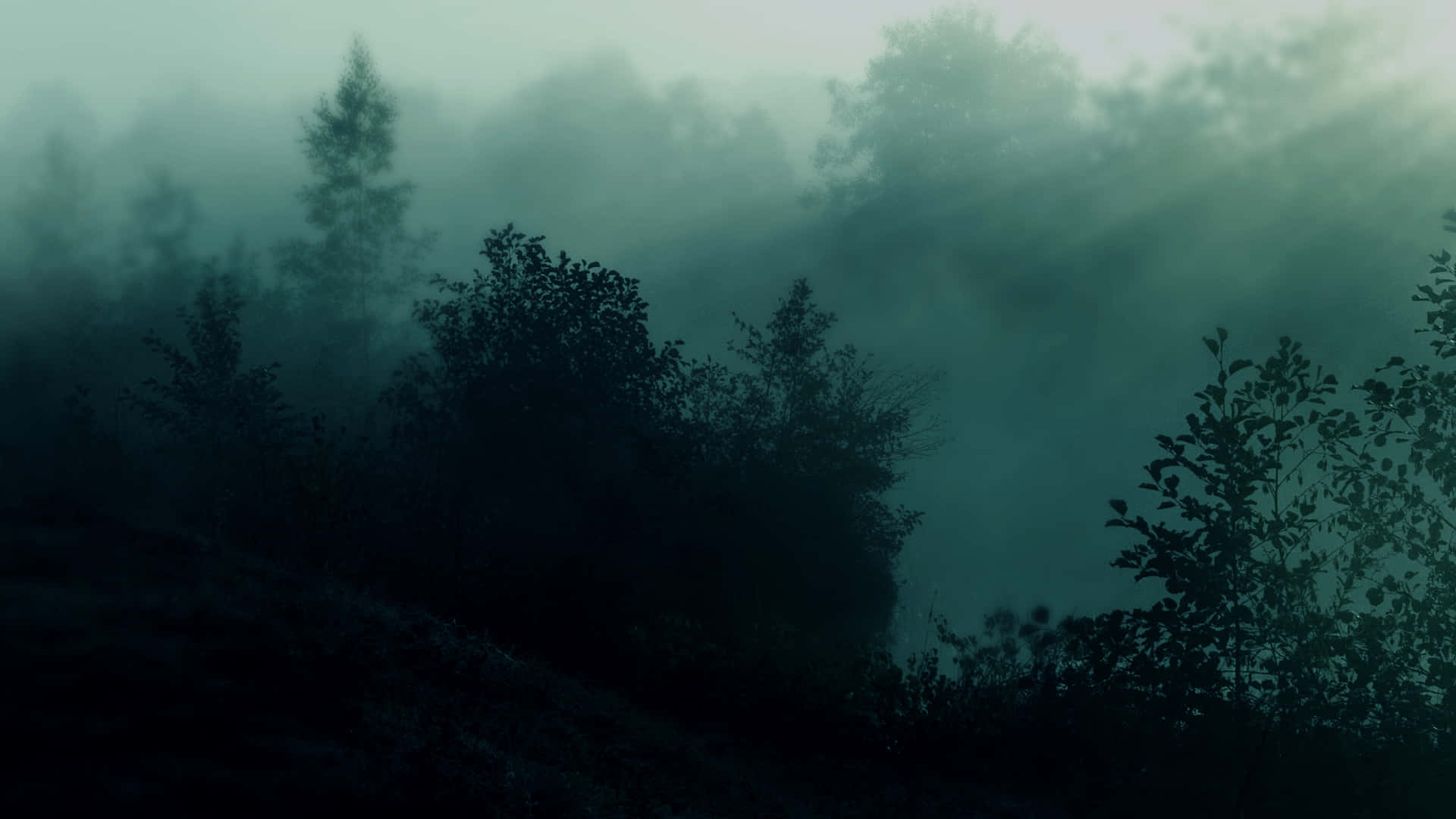 mga wallpaper ng fog HD Wallpaper