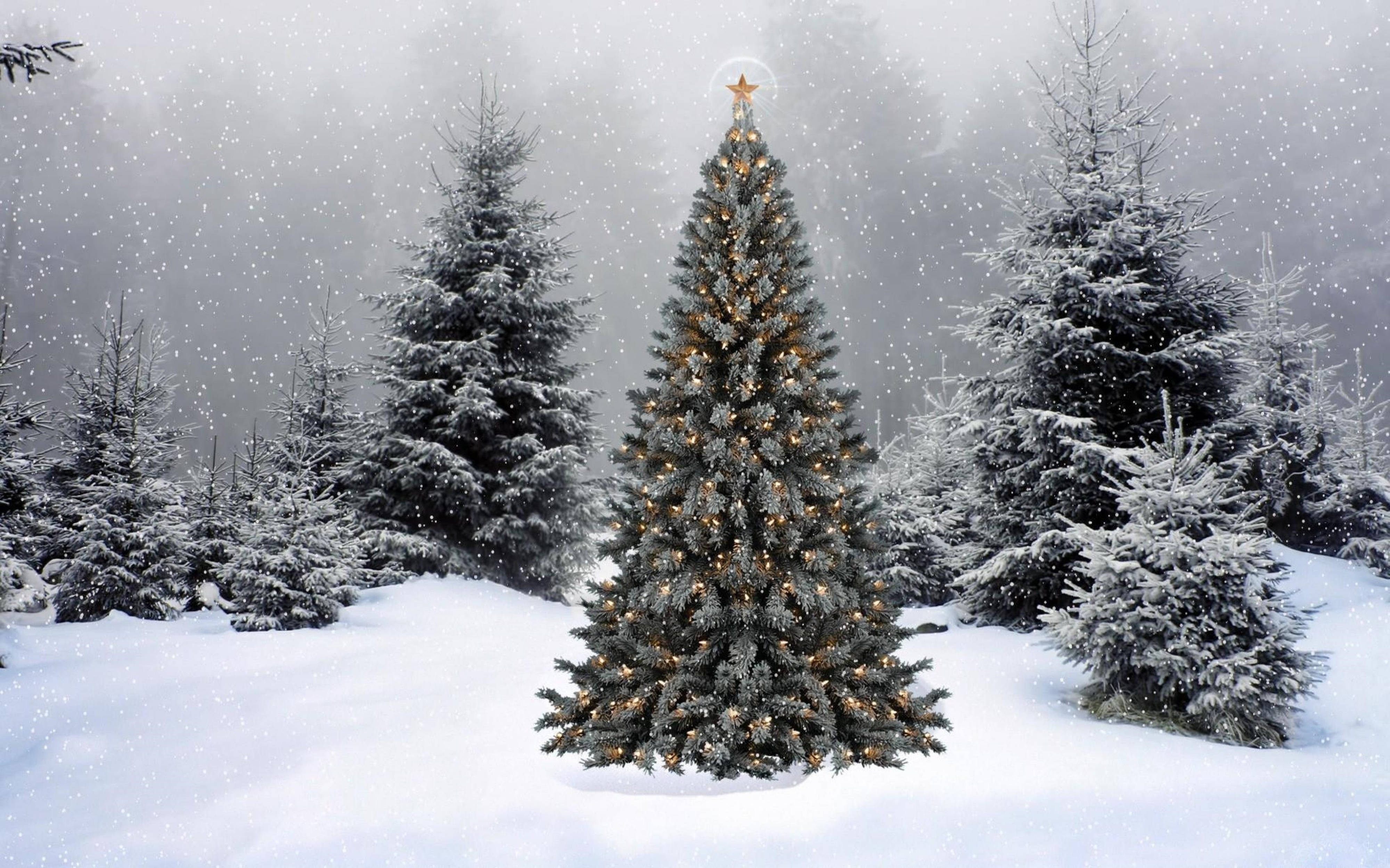 Minimalist 4K Ultra HD Pasko Wallpaper