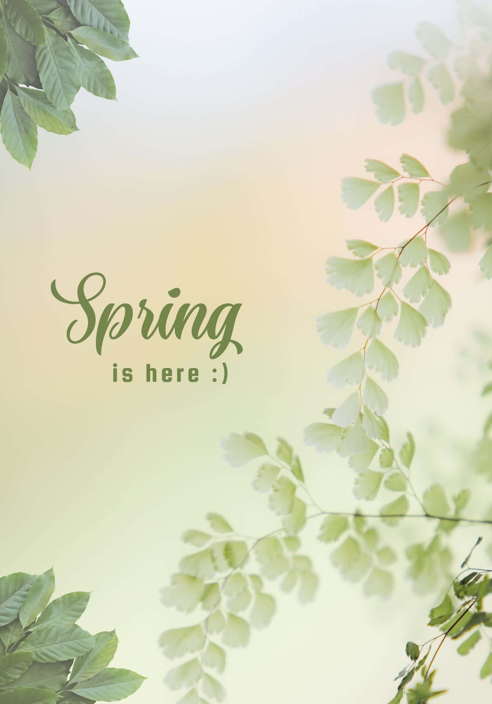 Minimalistang Best Spring Green Leaves Background Wallpaper