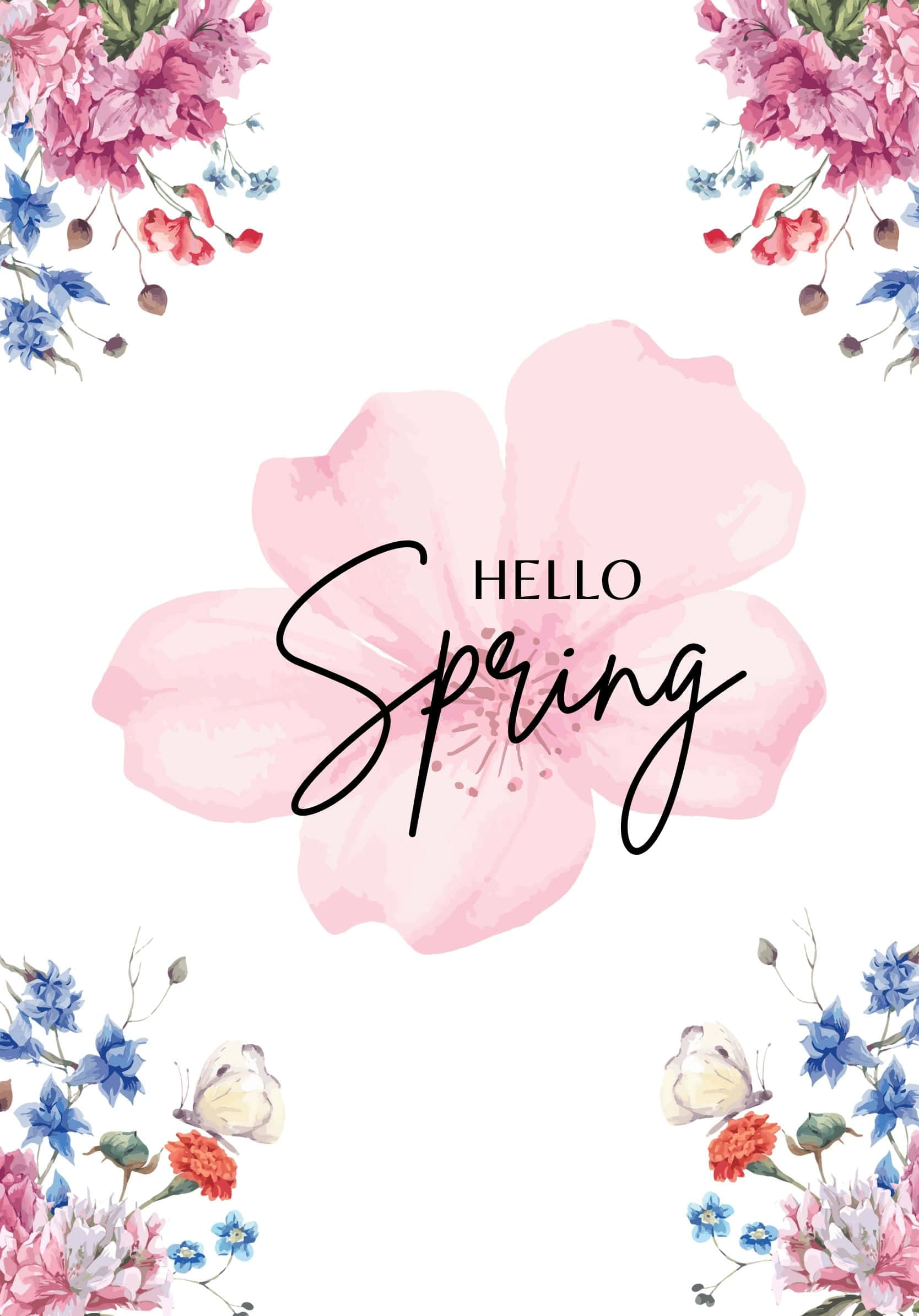 Minimalistang Hello Best Spring Background Wallpaper