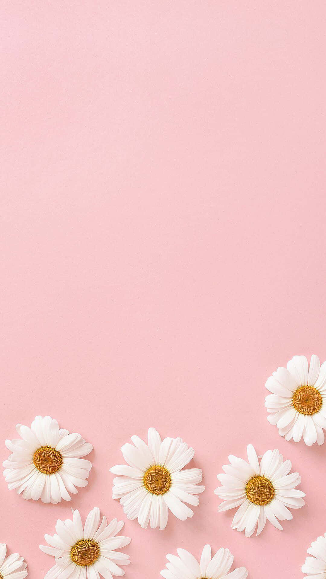 Minimalistik na Pastel Pink na Texture na Background Wallpaper