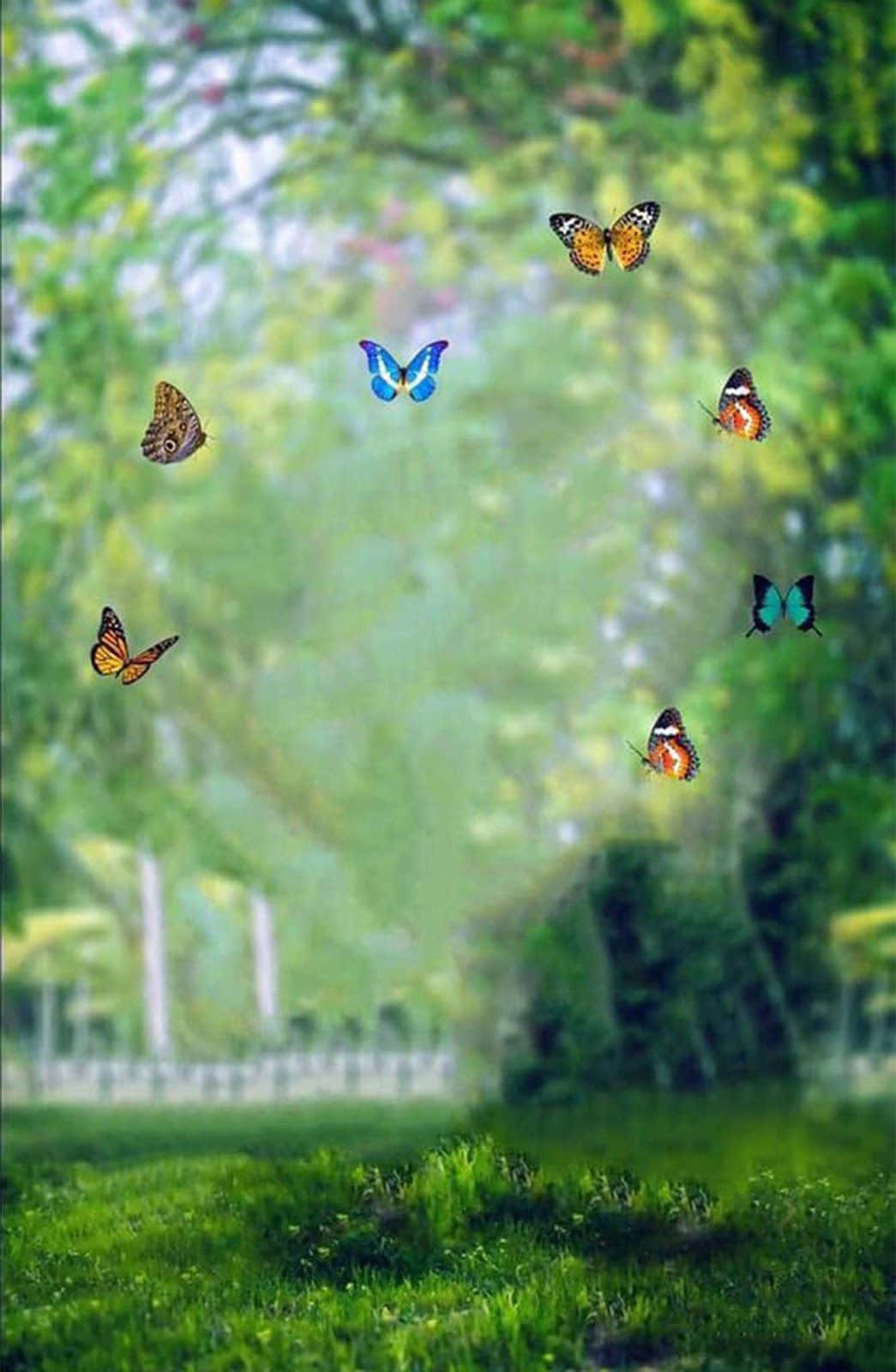 Mistikong Eksena sa Kagubatan Wallpaper