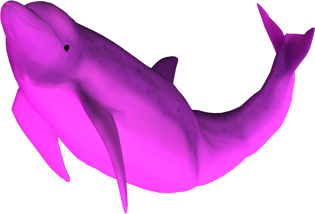 Modelong Pink3 D Whale Wallpaper