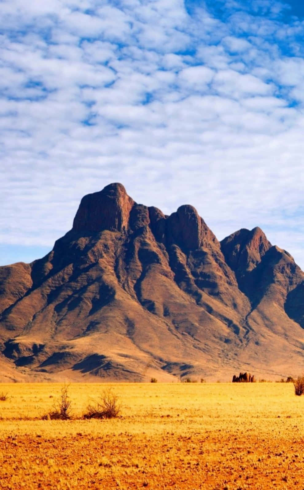 Modernong African Phone Technology Wallpaper