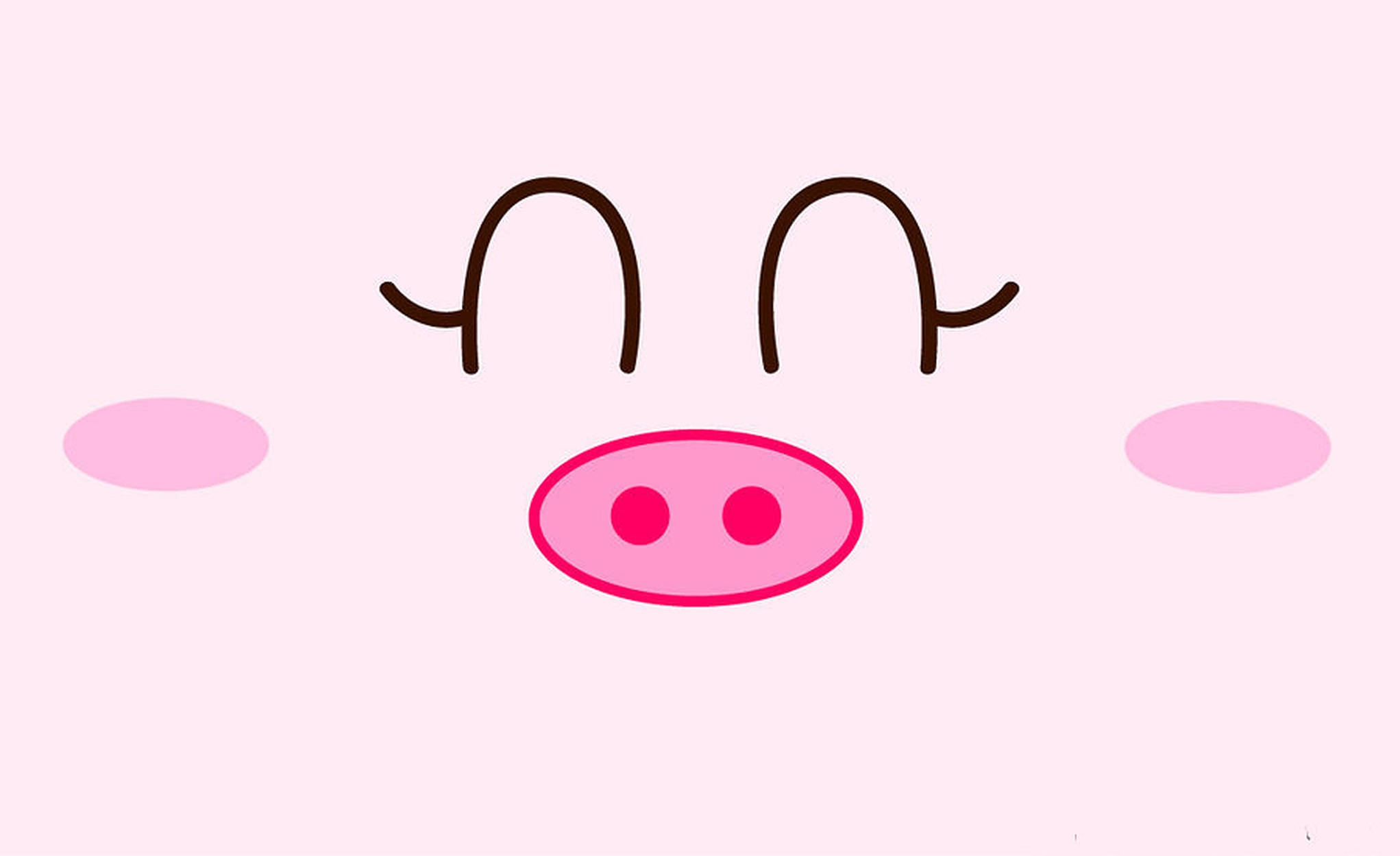 Mukha ng Baboy na Cute Wallpaper