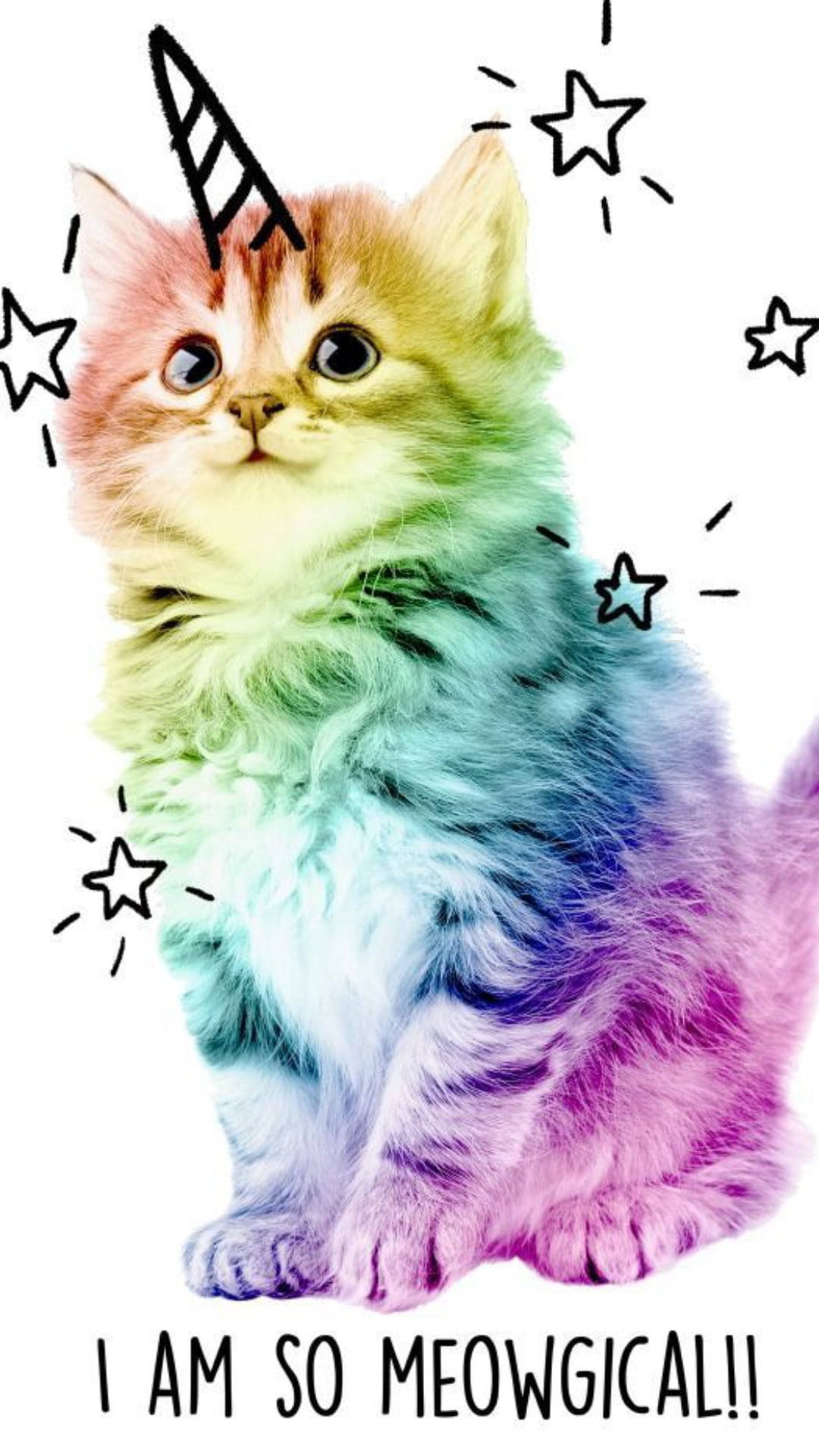 Multikulay na Cute na Pusa Wallpaper