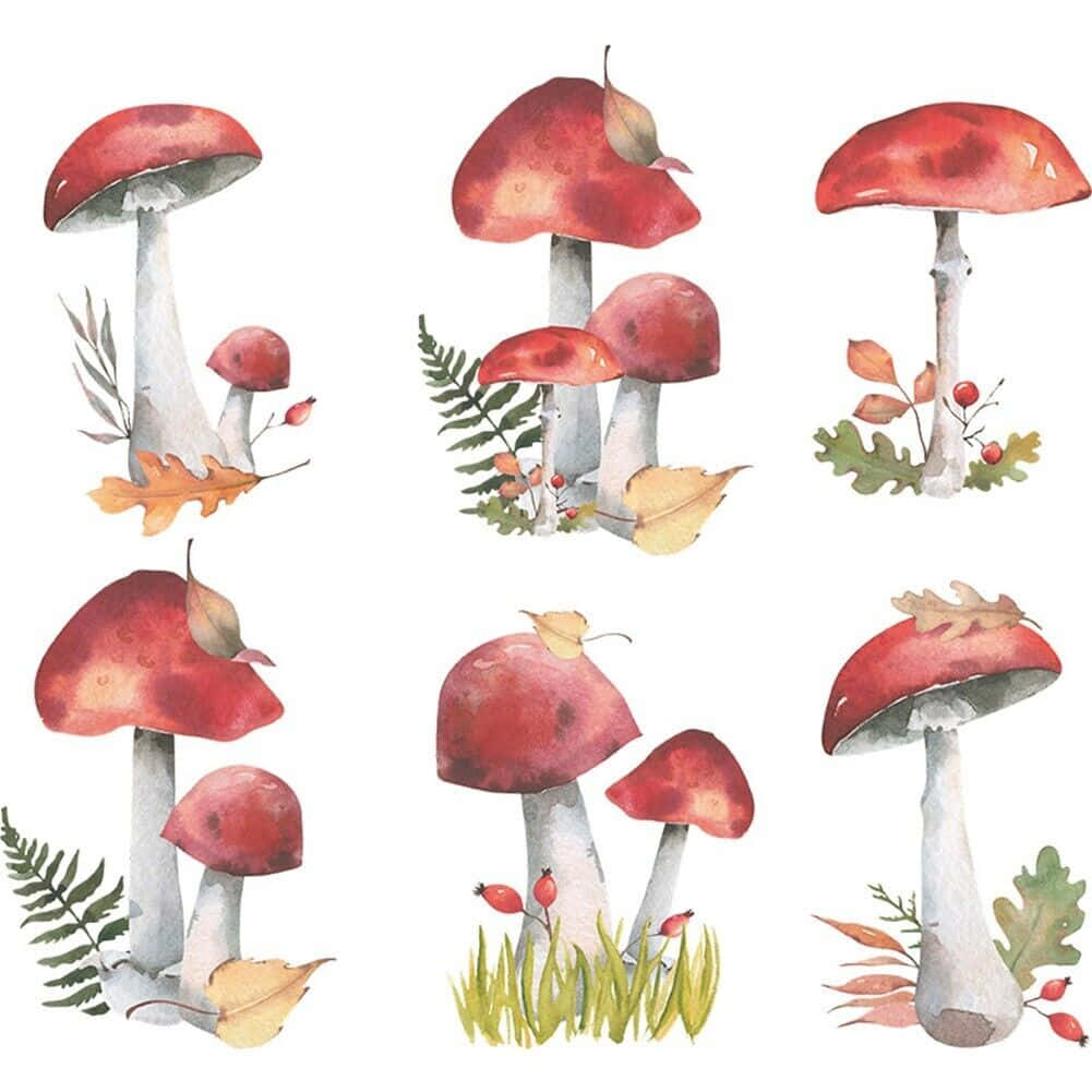Mushroom Vintage Cute Wall Sticker Decal Wallpaper