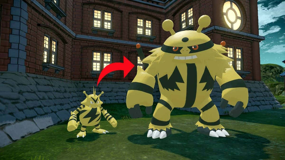 Nagcha-charge ng Enerhiya si Electabuzz sa Labanang Pokemon Wallpaper