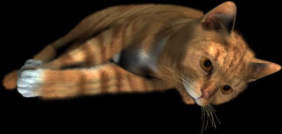 Nagpapahingang Pusang Orange Tabby sa Itim na Background Wallpaper