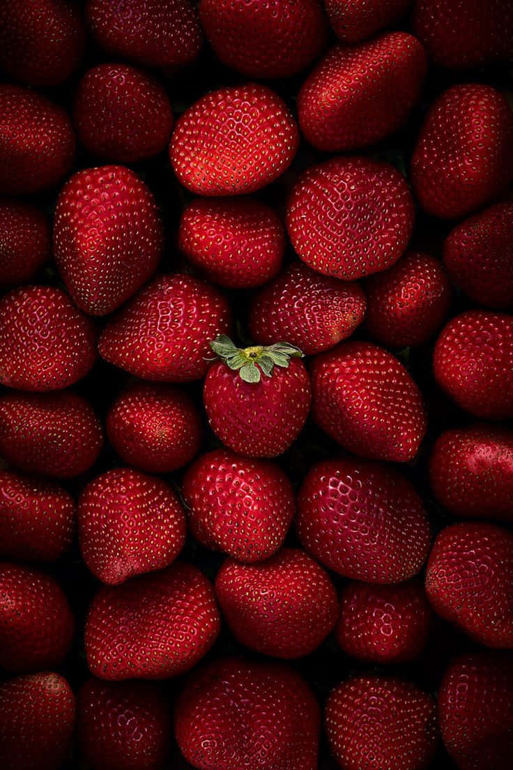 Nagpapalabas ng maapoy na vibes Wallpaper