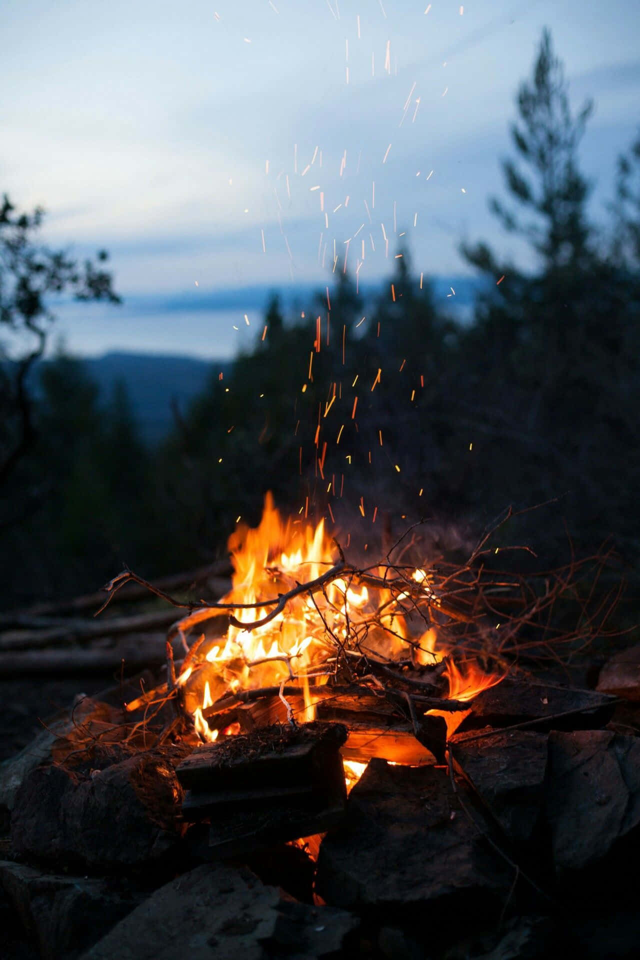 nagsisiga ang campfire sa kagubatan Wallpaper