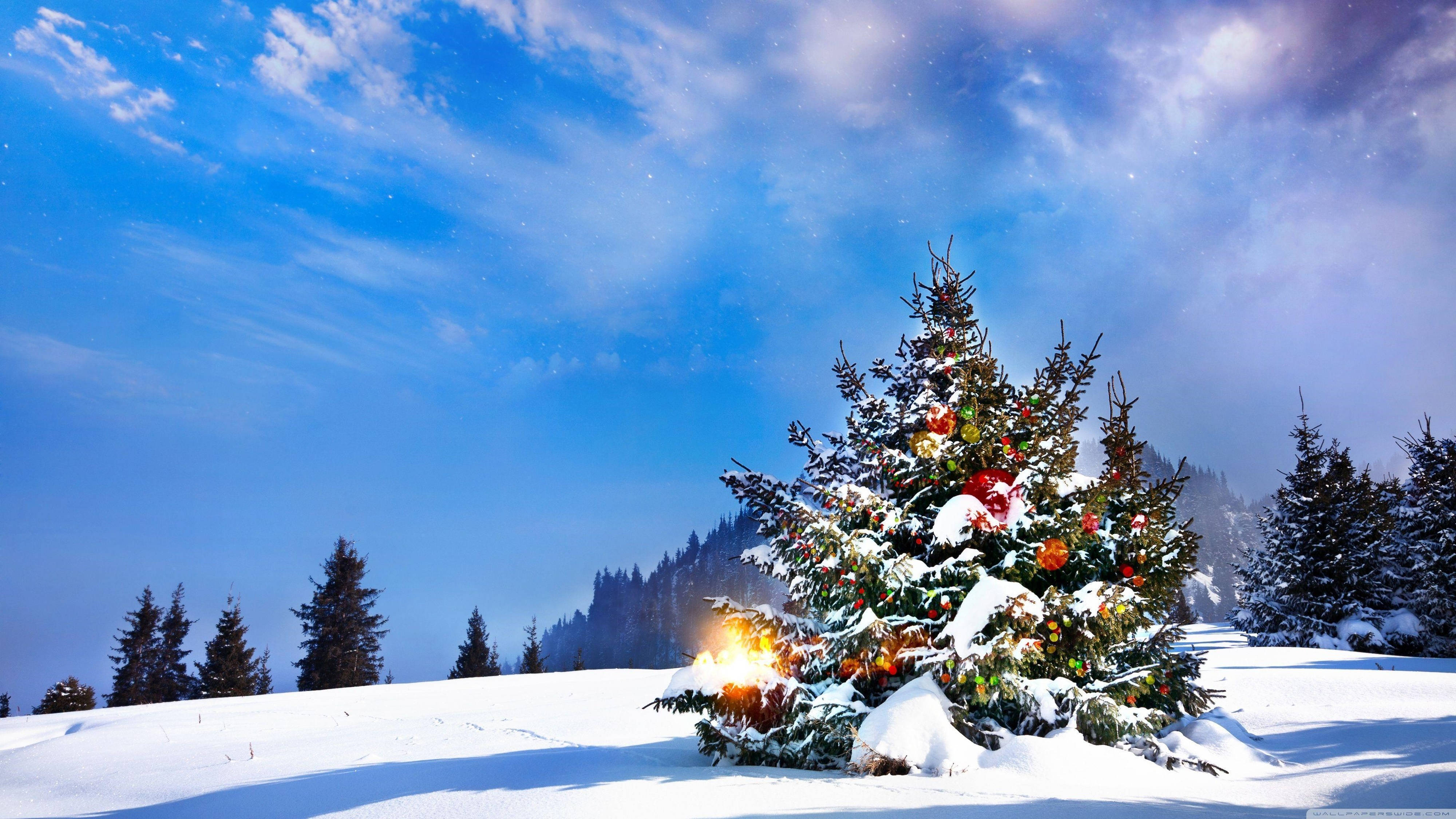 Nakakaakit na 4K Ultra HD Christmas Tree sa Niyebe Wallpaper