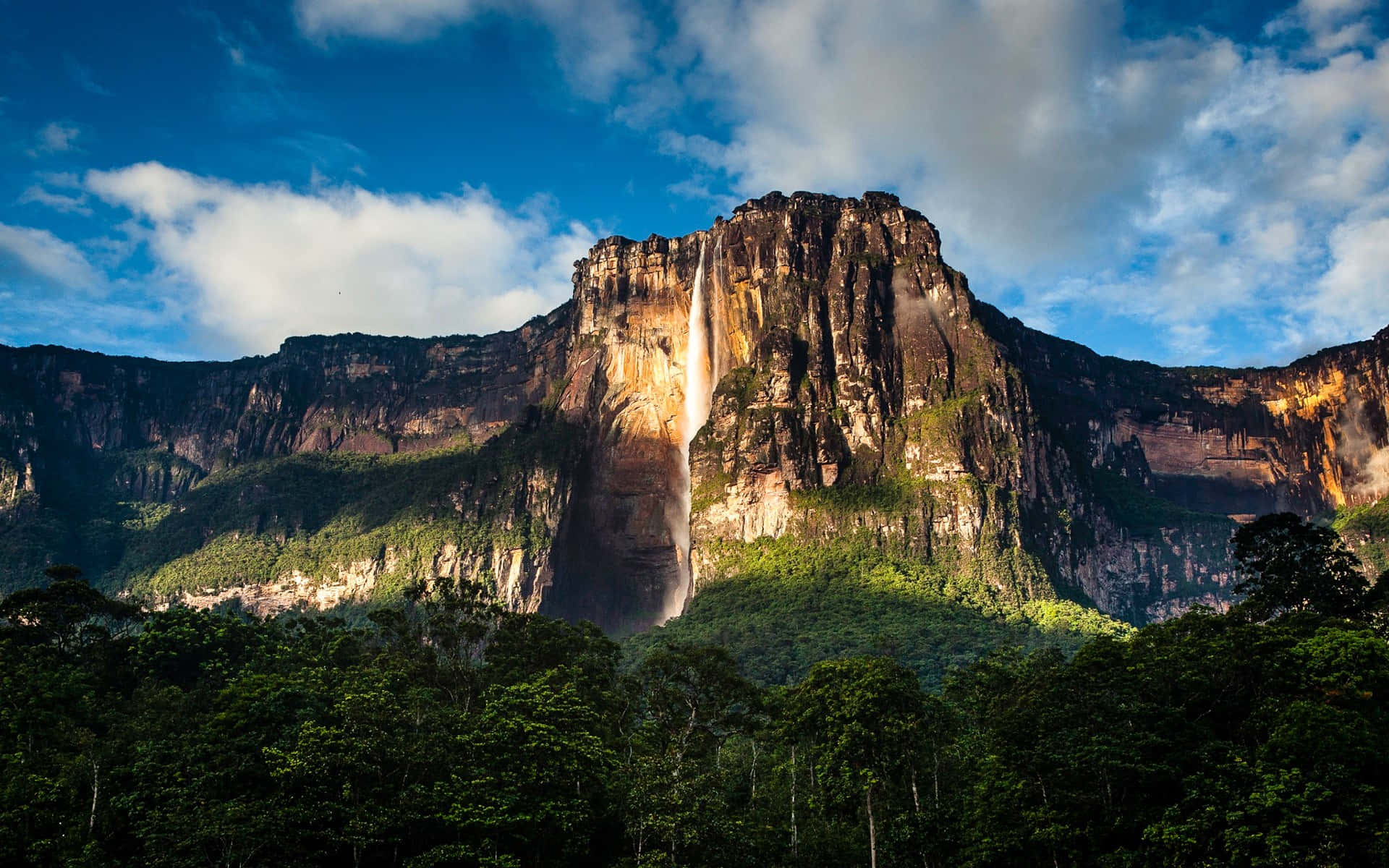 Nakakaakit na Litrato ng Angel Falls Wallpaper
