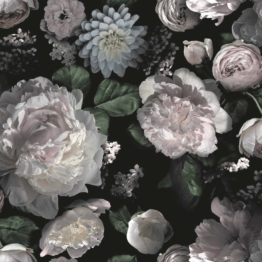 Nakakaakit na Madilim na Bulaklak na Background Wallpaper