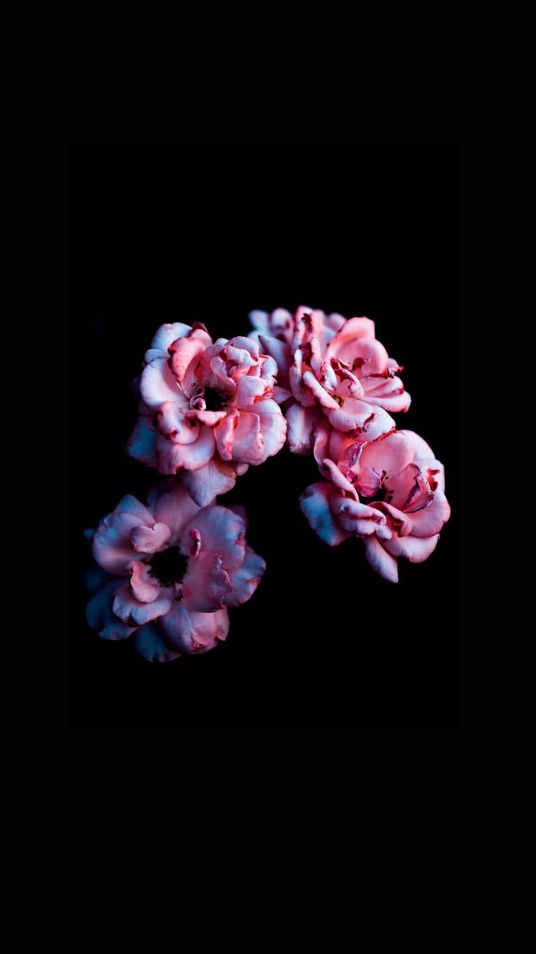 Nakakaakit na Madilim na Bulaklak na Wallpaper