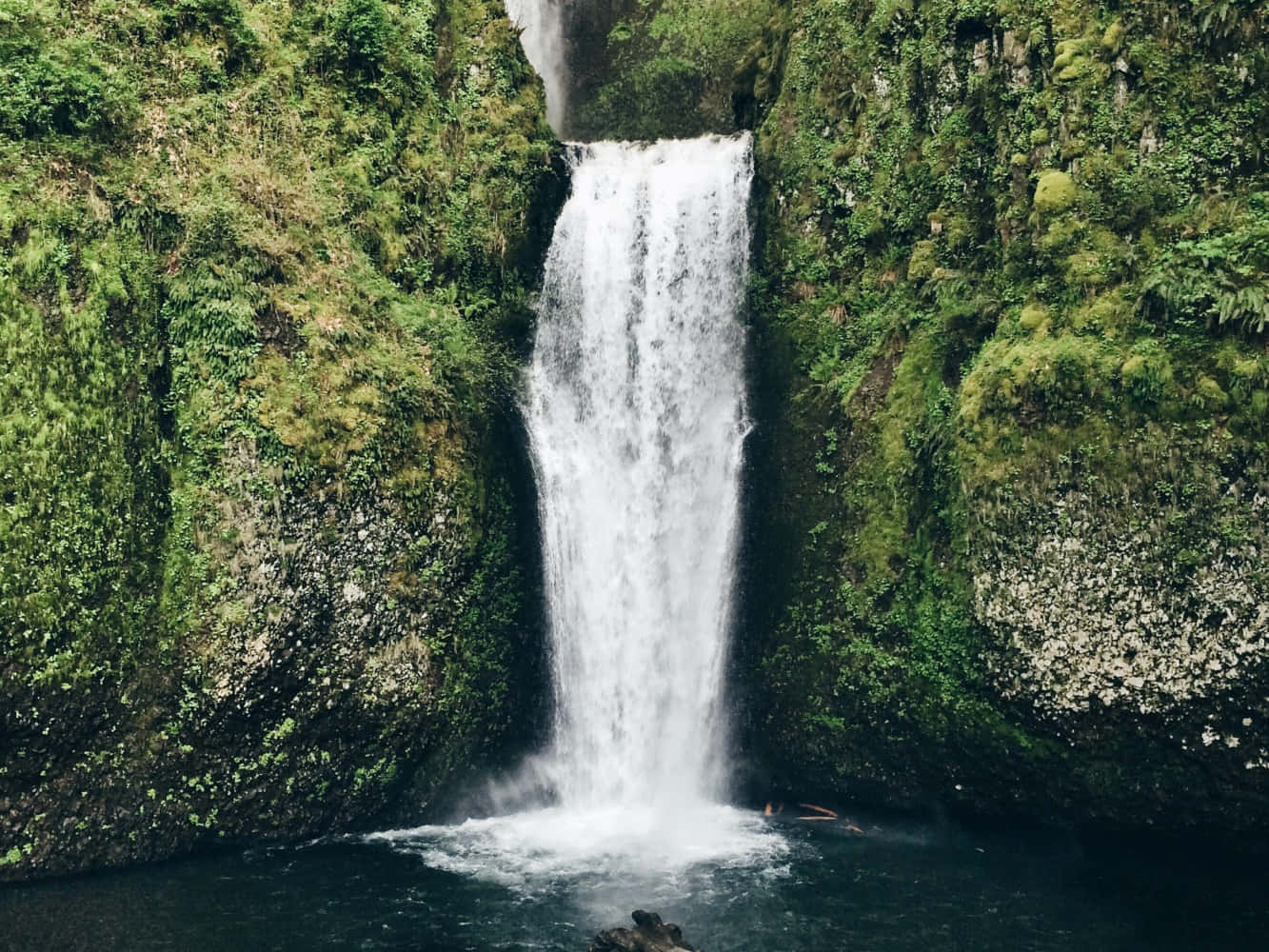 Nakakaakit na Talon sa Gitna ng Tahimik na Luntian Wallpaper