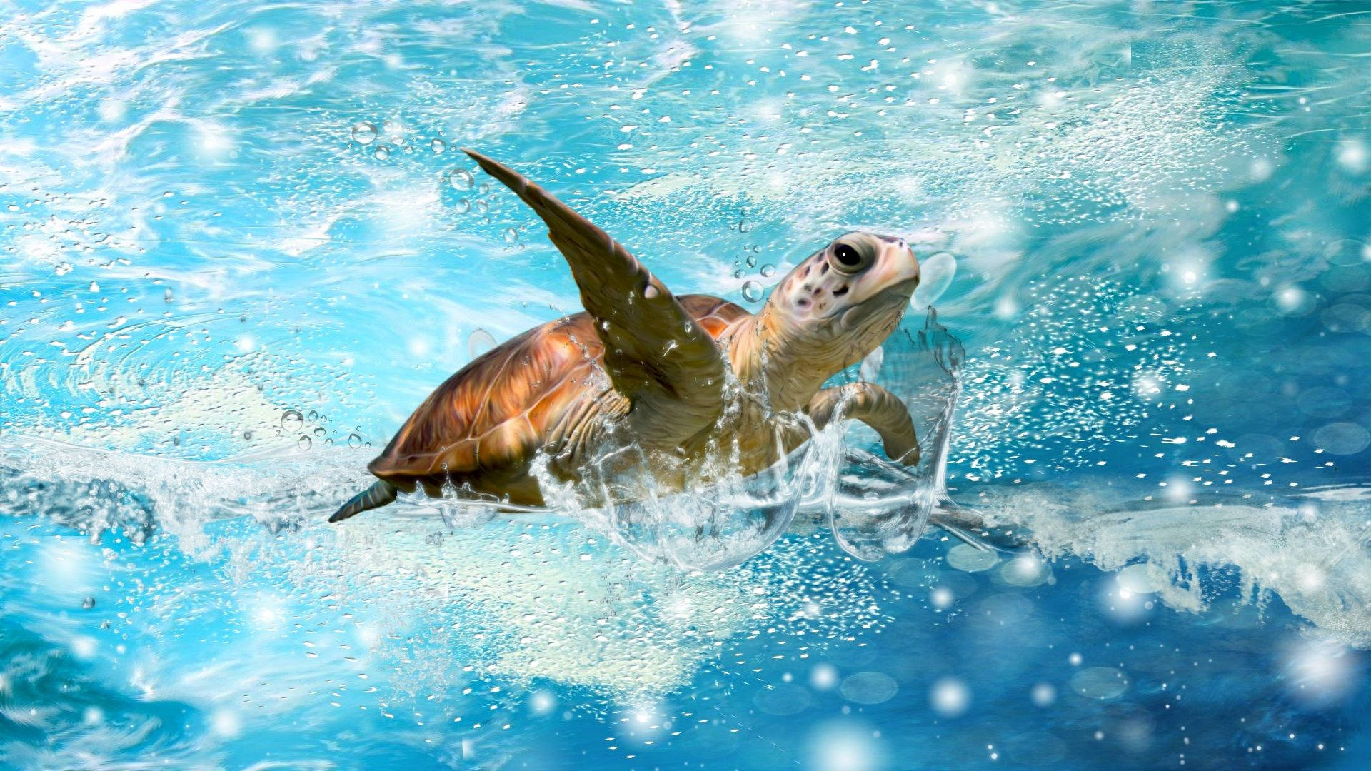 Nakakagandang Pag-splash ng Water ng Cute na Pagong Wallpaper