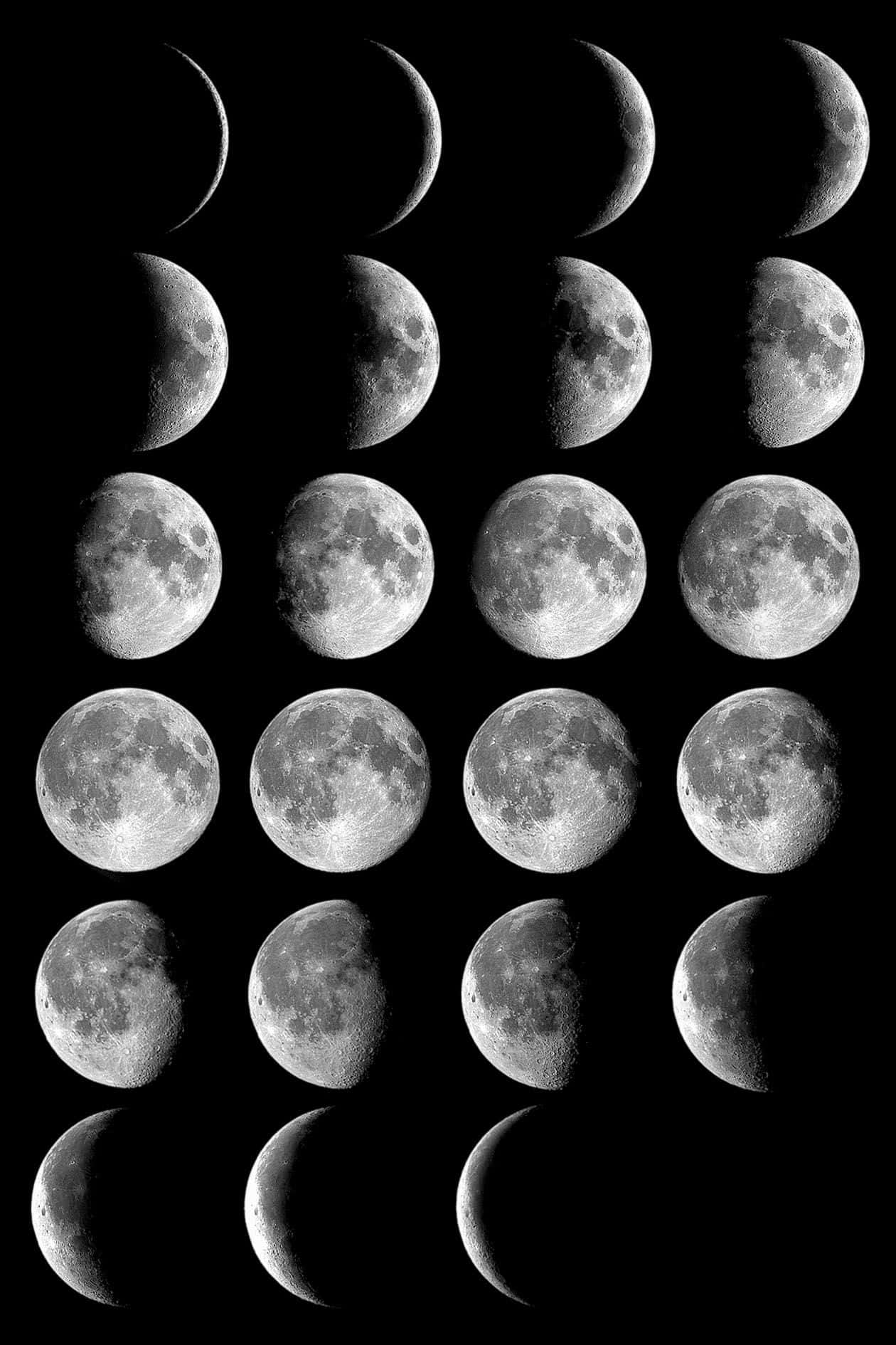 Nakakagulat na Tsart at Siklo ng mga Phase ng Buwan Wallpaper