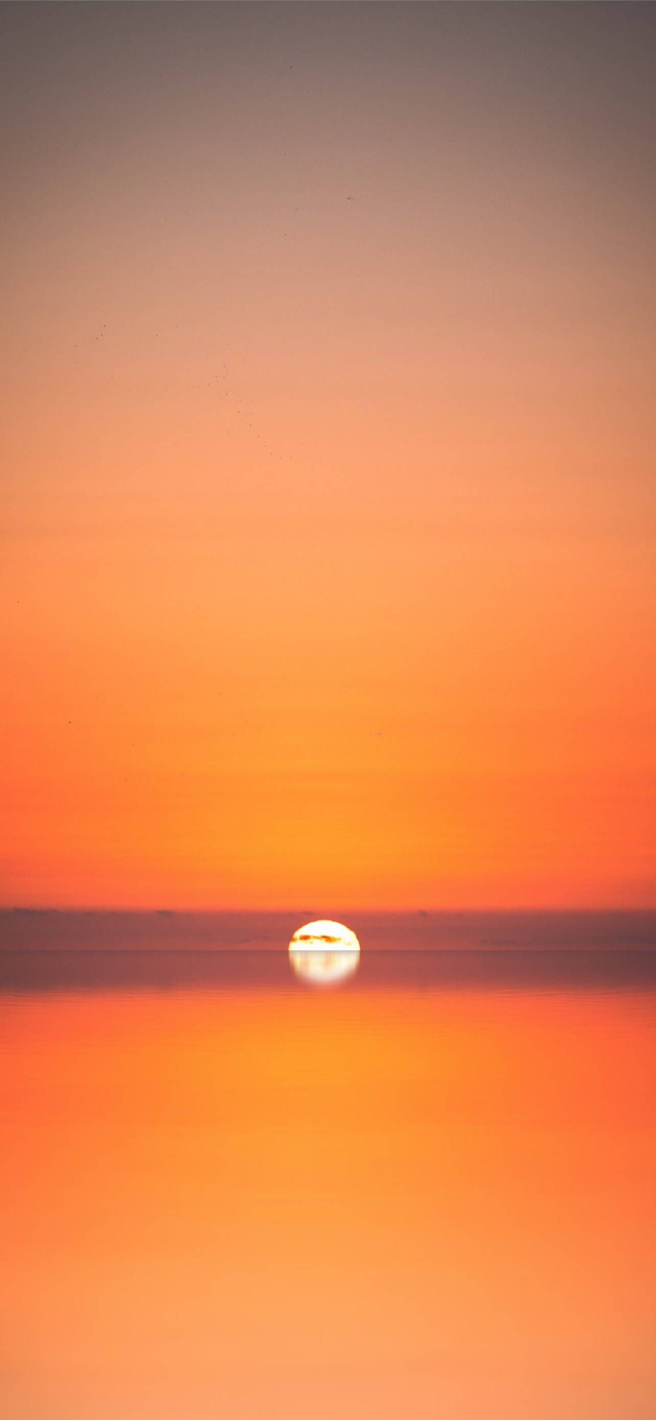 Nakakaintrigang Paglubog ng Araw sa Baybay para sa iPhone Wallpaper