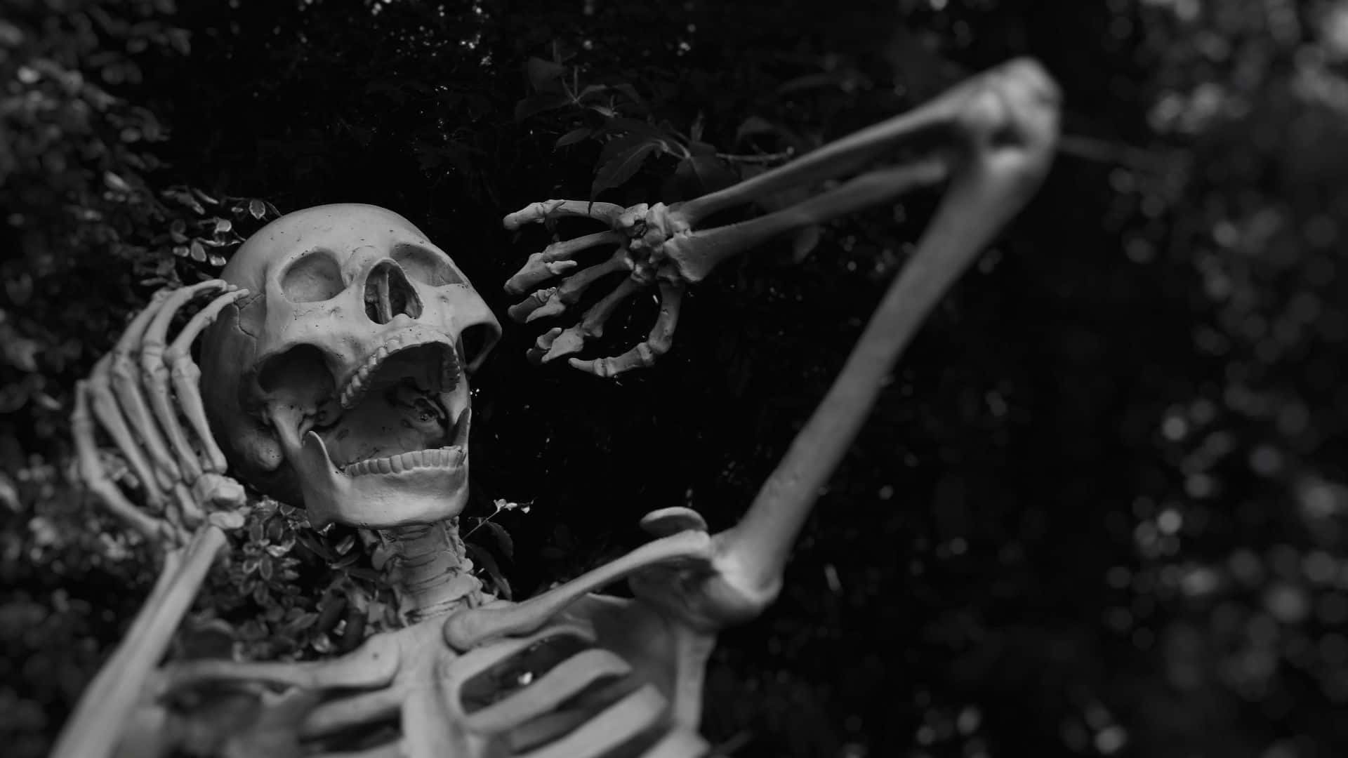Nakakatakot na Background para sa Halloween Wallpaper