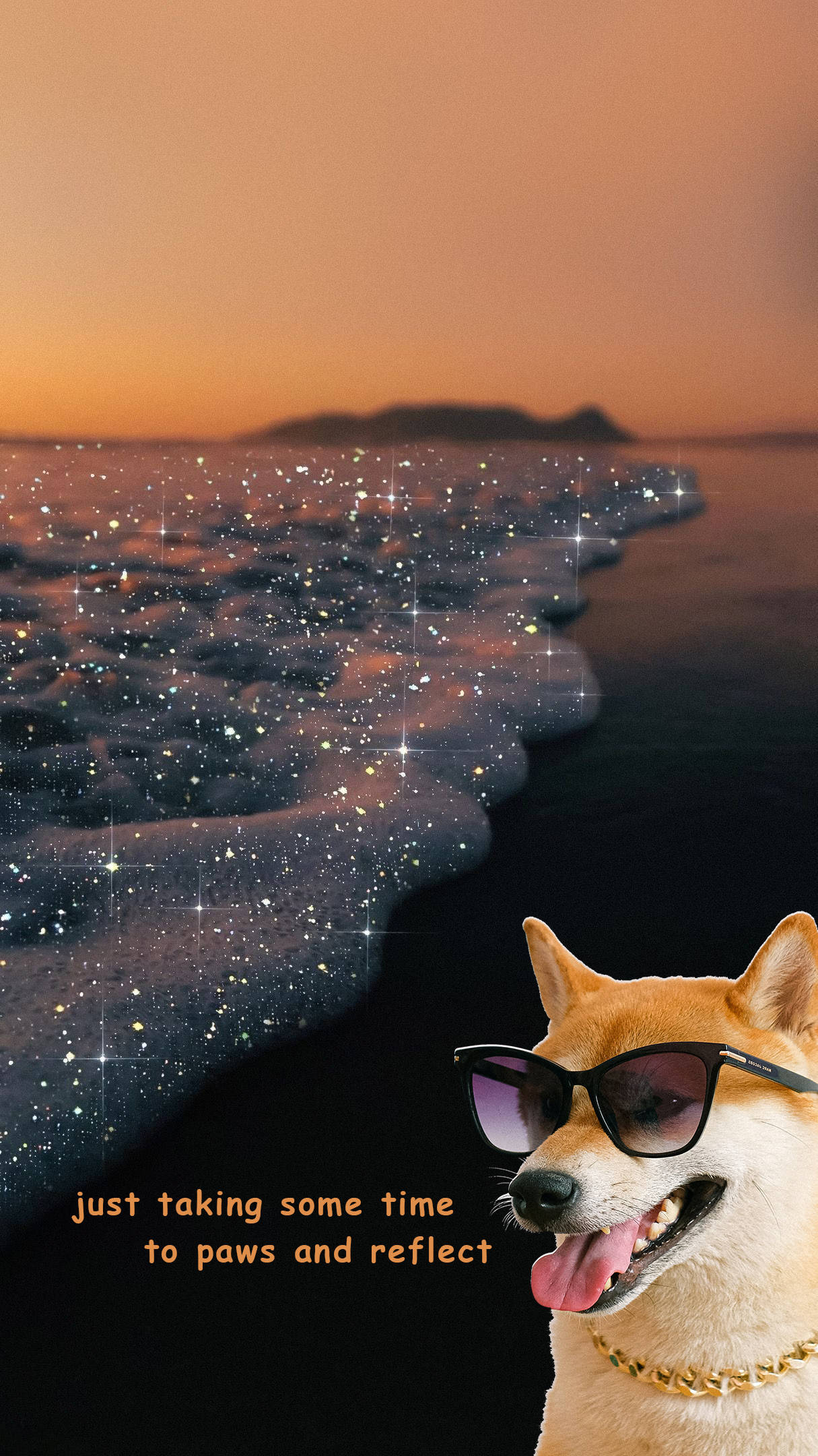 Nakakatawang Aesthetic na Aso sa Dalampasigan Wallpaper