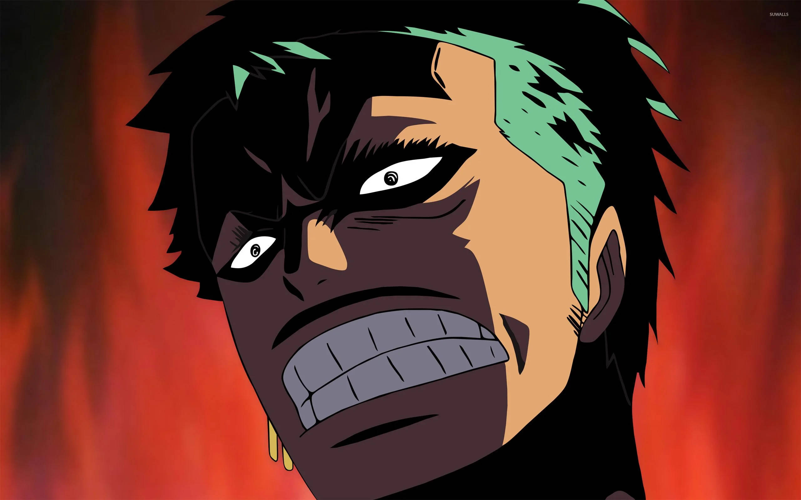 Nakakatawang Anime One Piece Zoro Wallpaper