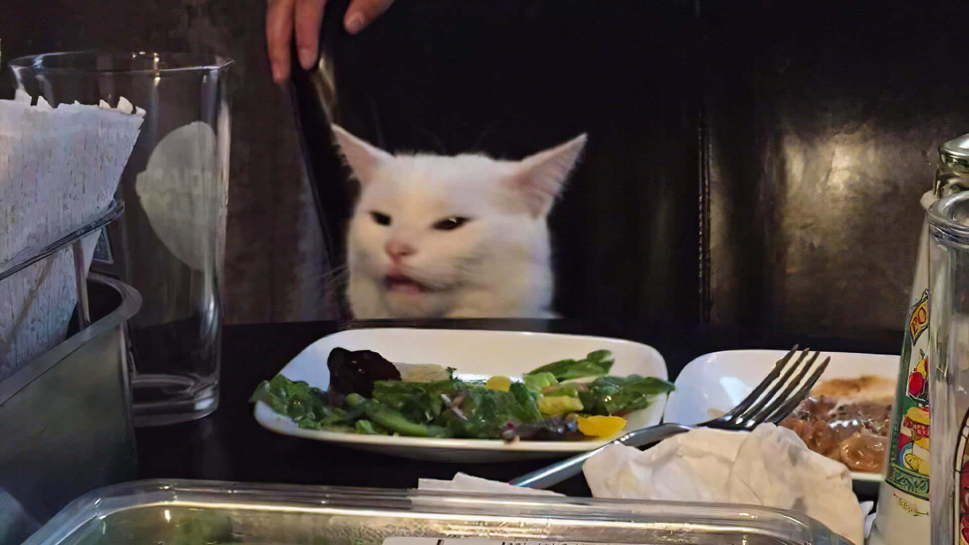 Nakakatawang Meme na Pusa sa Hapag-kainan Wallpaper