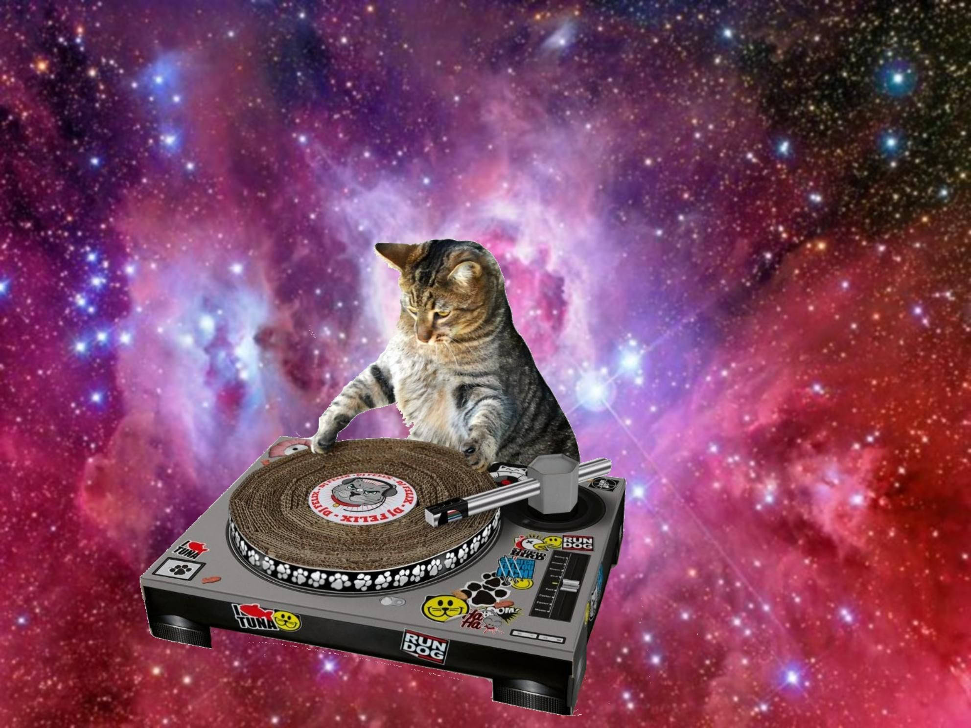 Nakakatawang Pusa na DJ na Nagpapatugtog sa Kalawakan Wallpaper