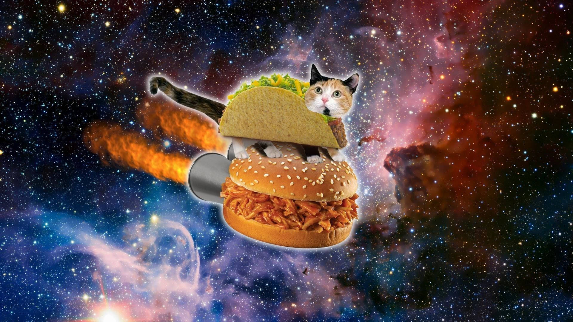 Nakakatawang Pusa na Burger sa Kalawakan Wallpaper